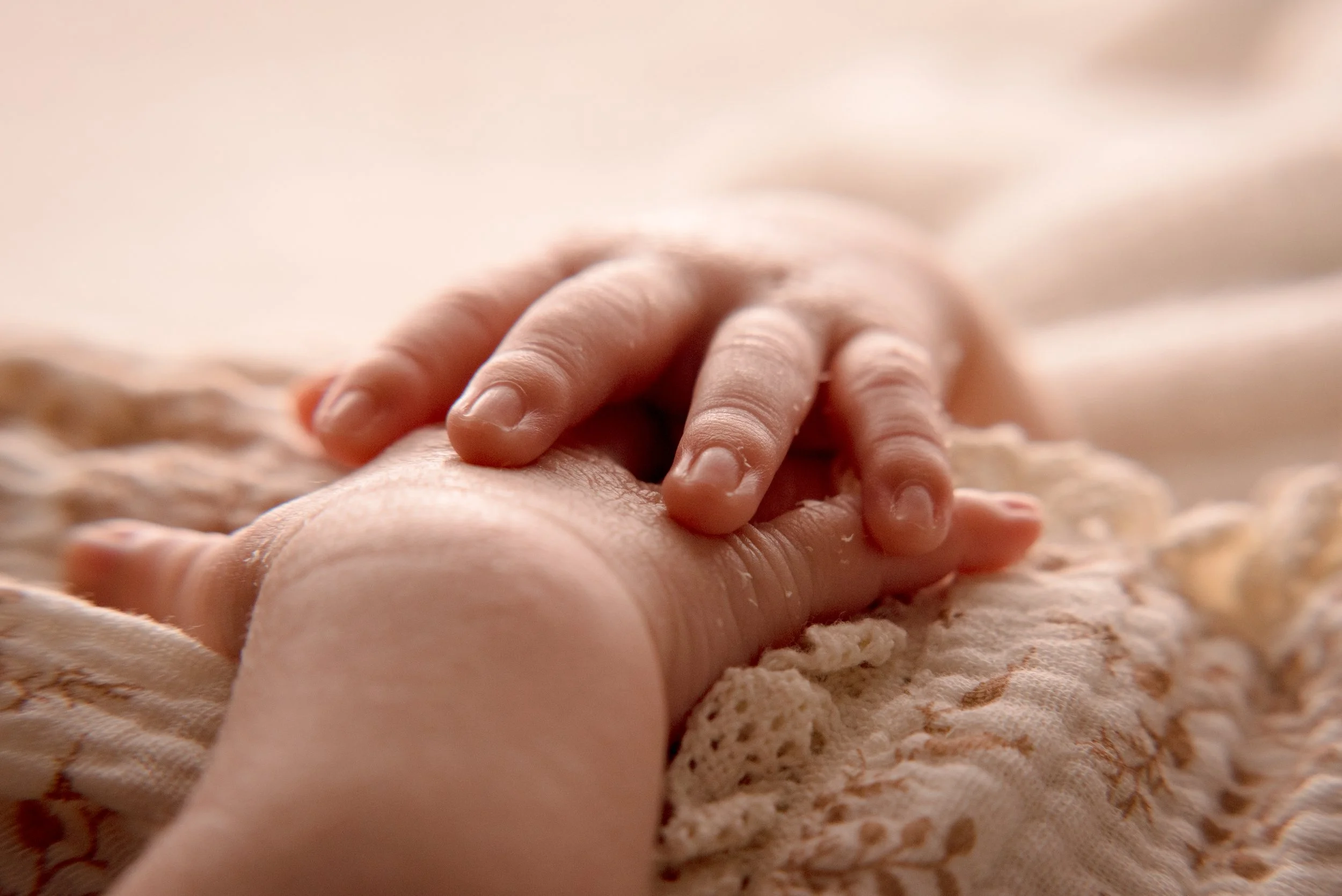 Alejandra website-5.jpg