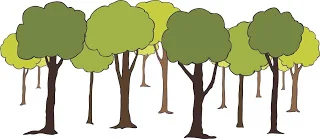 Four+areas+of+language2.jpg