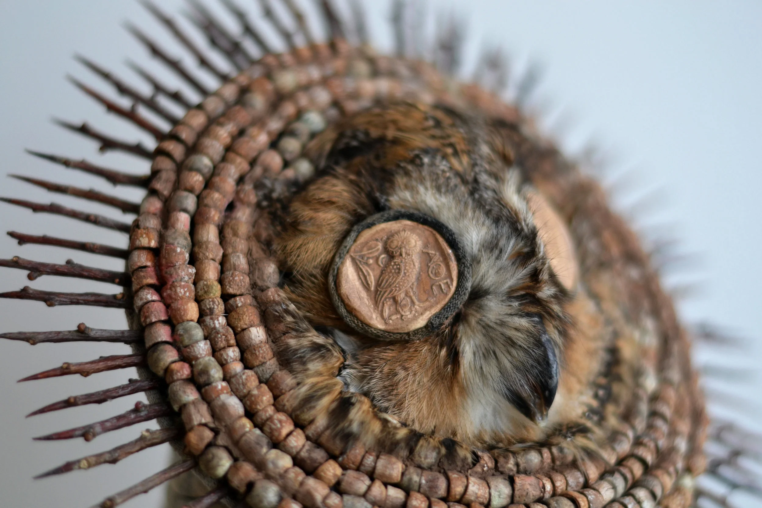 Asio otus. 2019. Long Eared Owl, Pine seed scales, Flint Arrow Heads, Hawthorns, Fabric, Pine Resin, seeds, Clay, Bells