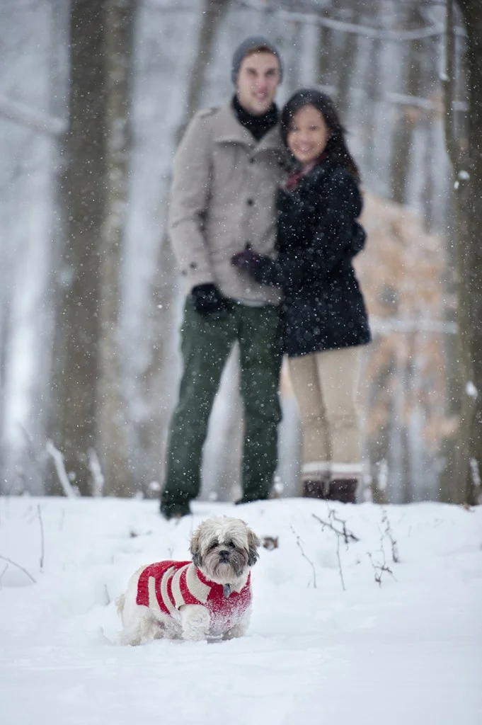 View More: http://sarunia.pass.us/leidrew-couple-session-sarunia-photography