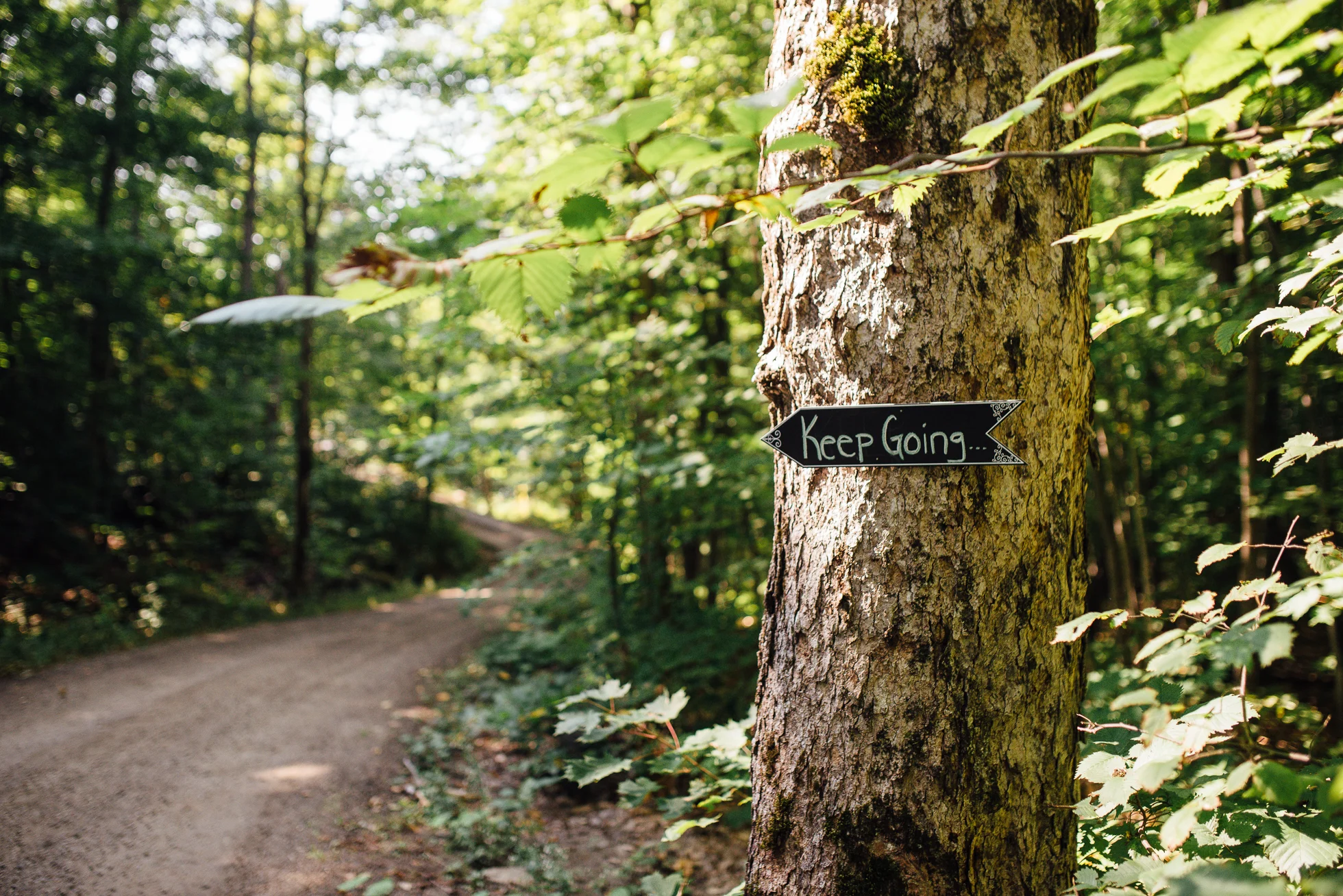 Same-Sex-Muskoka-Wedding-Photographer-5