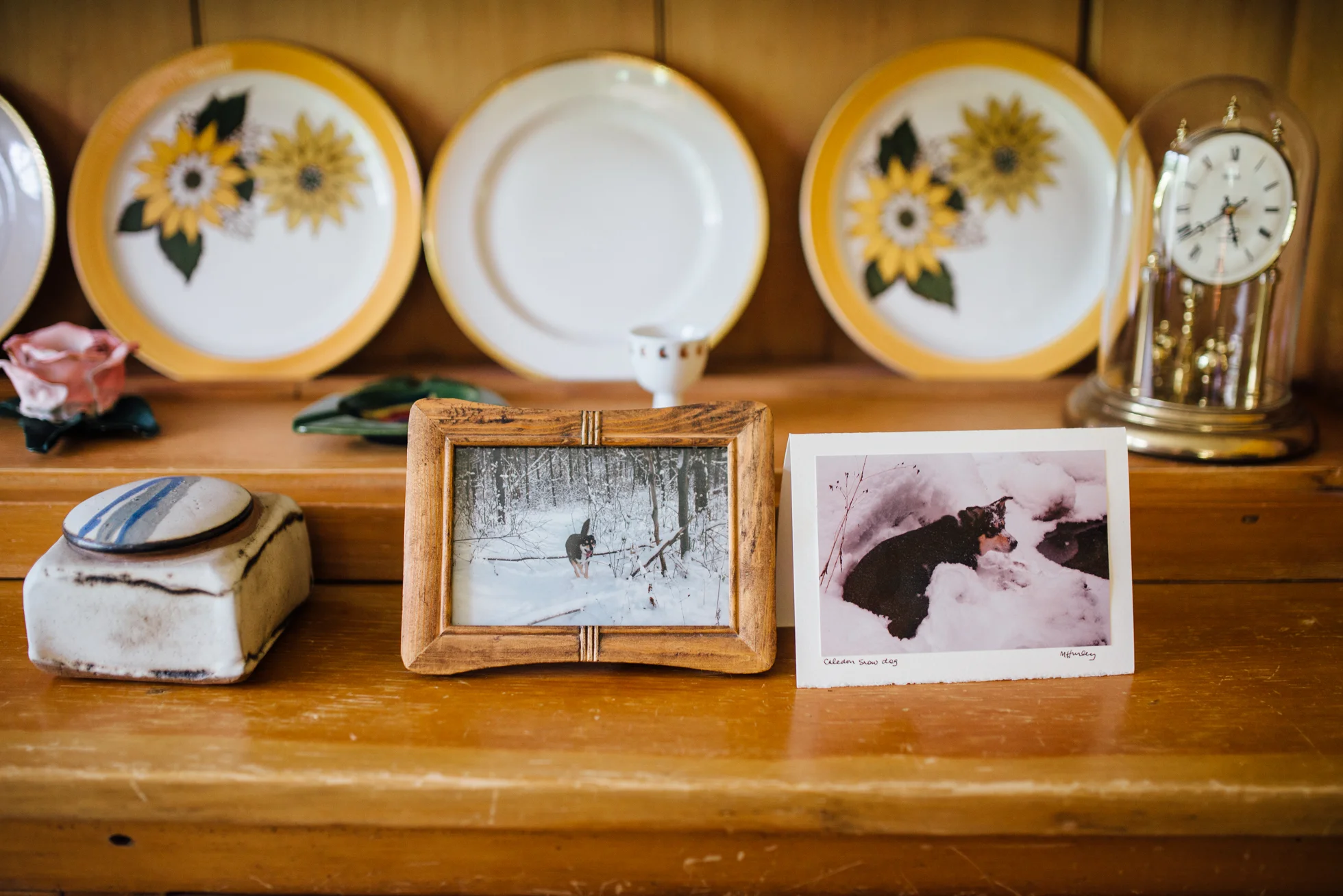 Outdoor-Caledon-Tralee-Wedding-Photography-26
