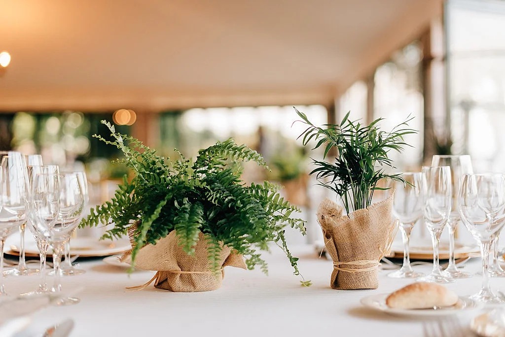 Ana-Alfredo-Wedding-376.jpg