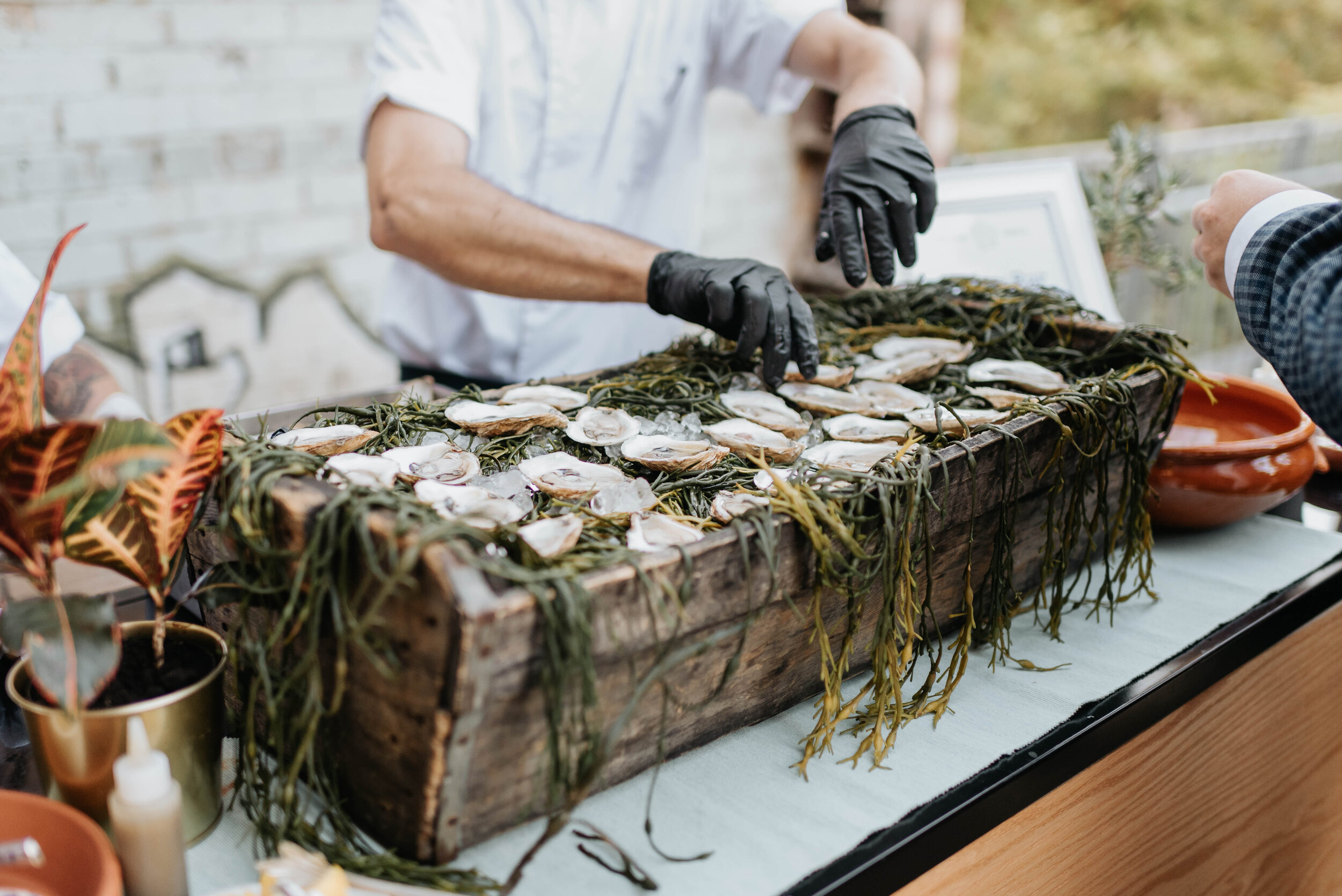 Sentimental Evergreen Brickworks Wedding (59).jpg