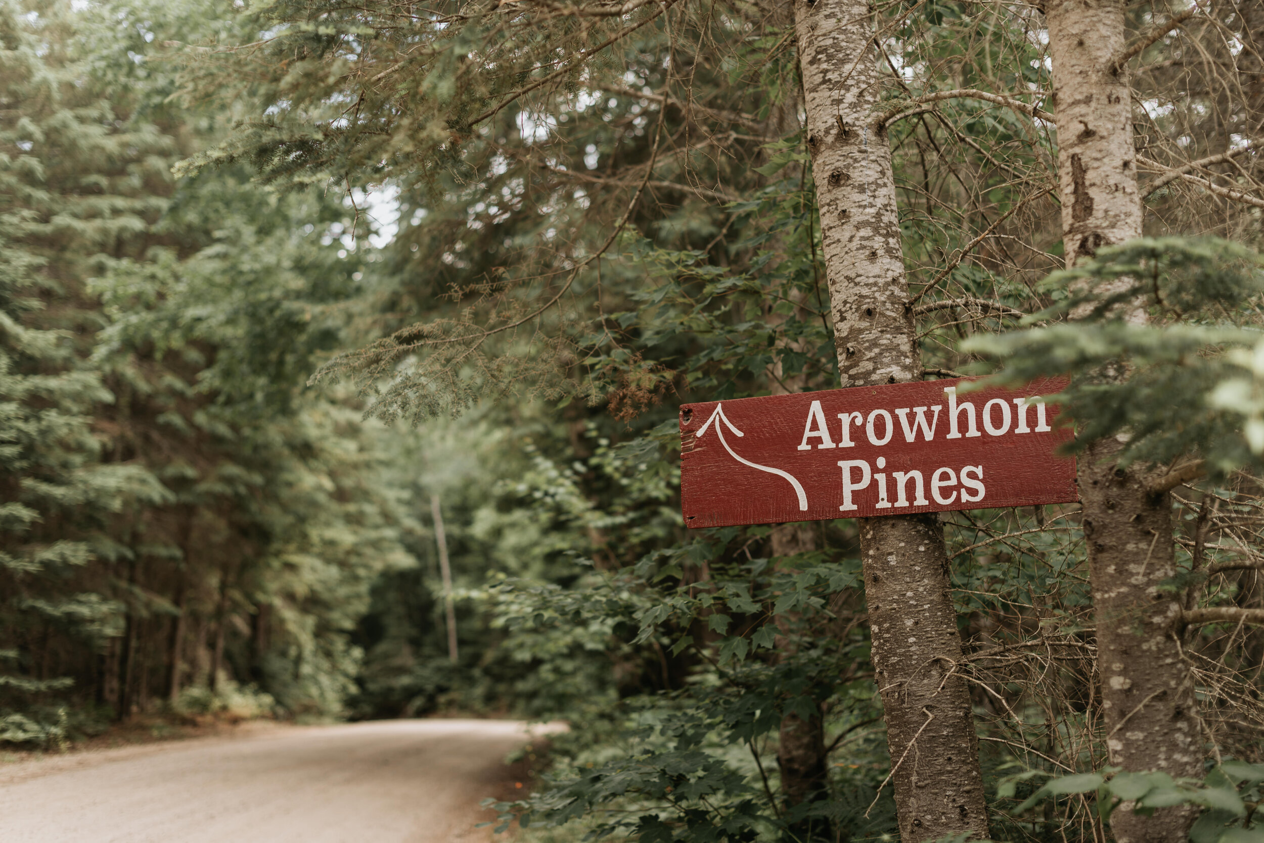 Arowhon Pines Wedding (2).jpg