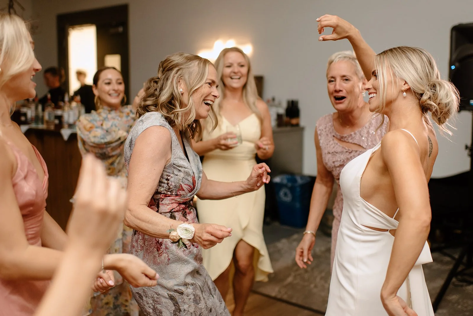 Ravine-Vinyard-Estate-Winery-Wedding-Niagara-on-the-Lake-Wedding-Party-Dancing.jpg