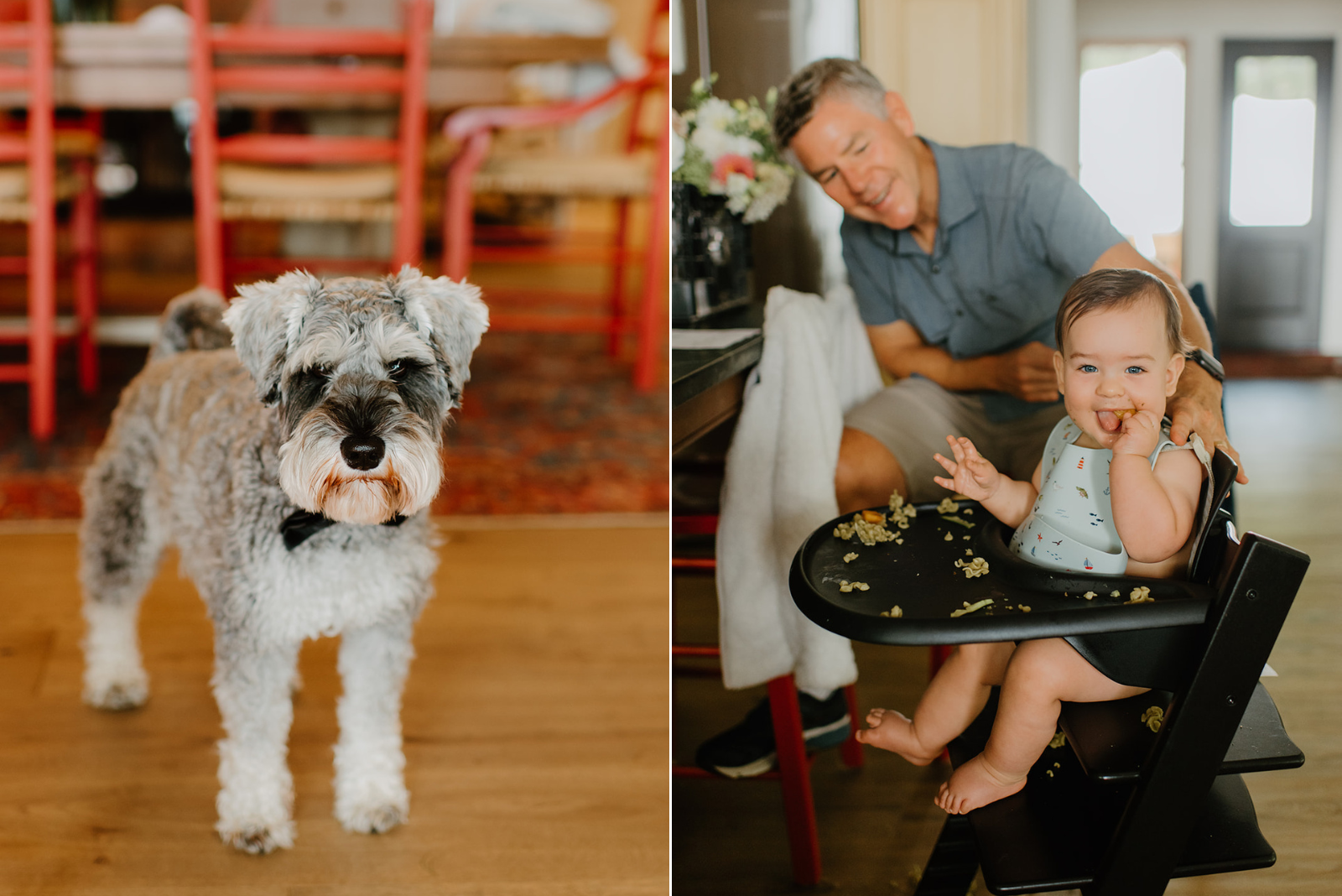 Family Home Kingston Wedding of Vanessa and Liz – sweet moment with puppy and baby at backyard wedding celebration