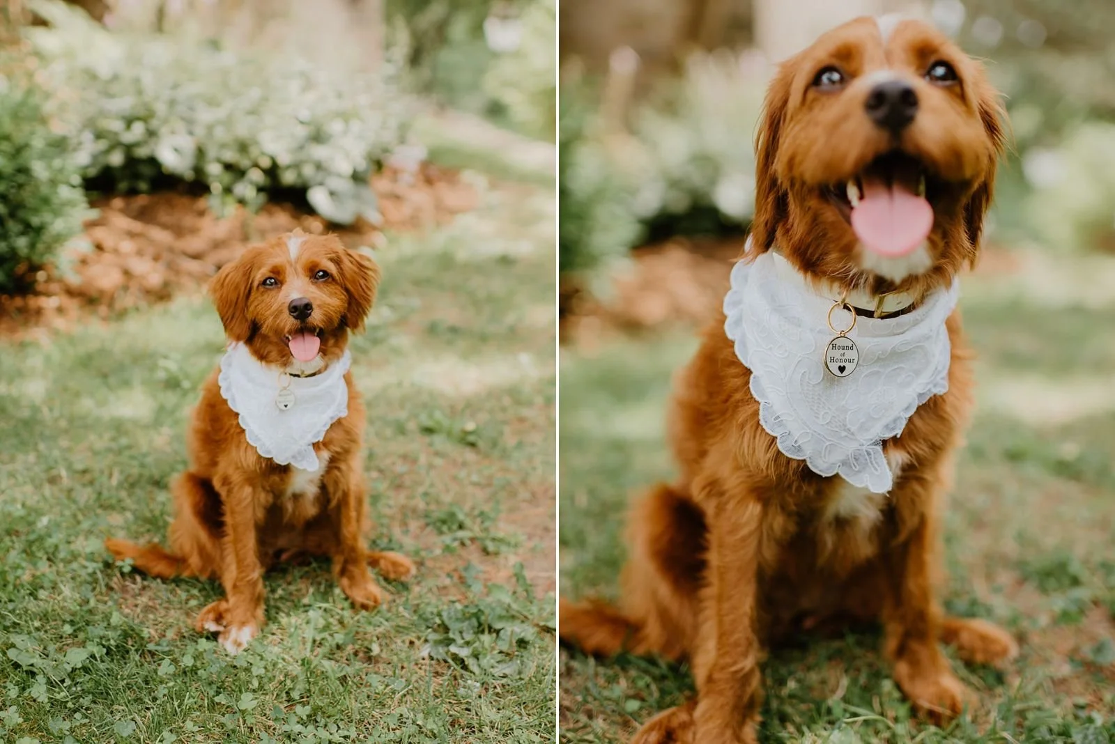 Eaton Hall Wedding in King City | Benita + Allen – Couple posing for portraits with their dog at the historic Eaton Hall.