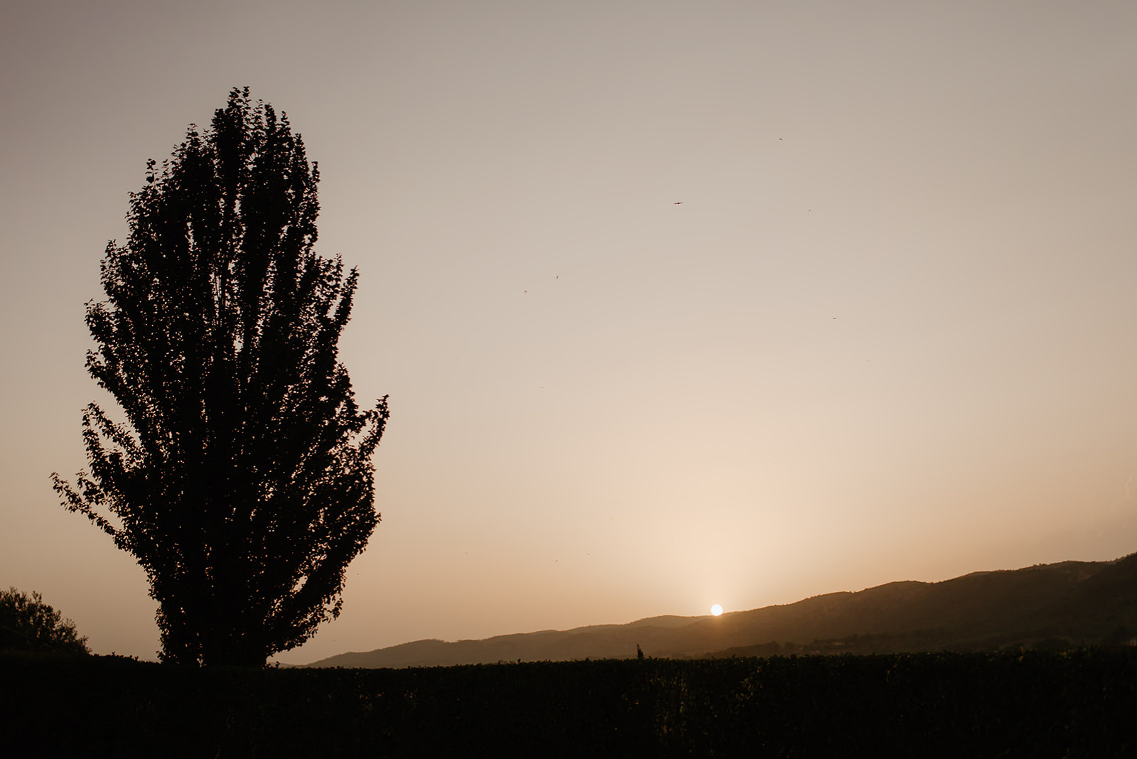 Castell de Barxell Wedding | A Romantic Spanish Countryside Celebration with Zuzanna + Raul – The sunset painting the sky in shades of pink and orange over Spain.