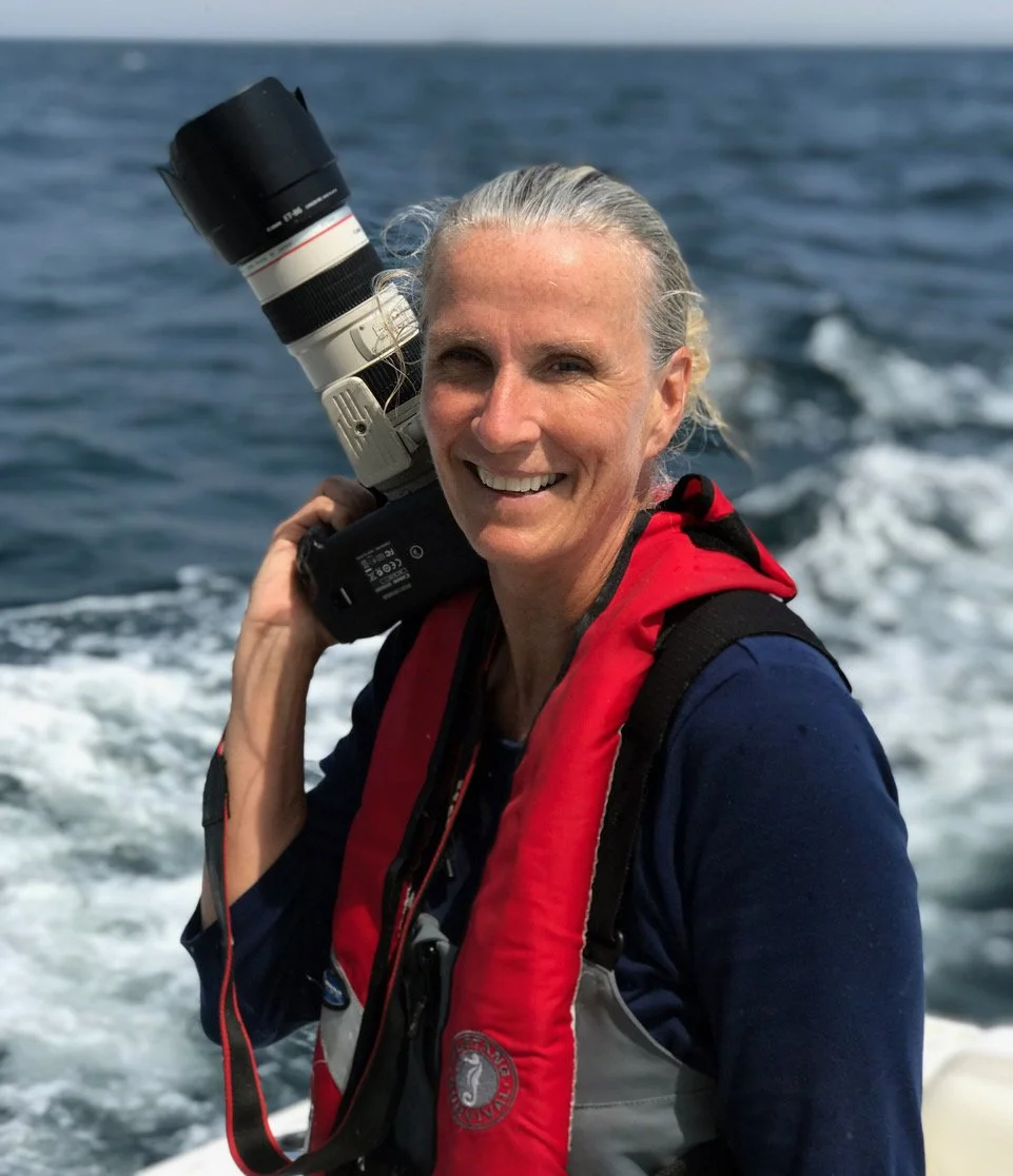 Photographer  Alison Langley