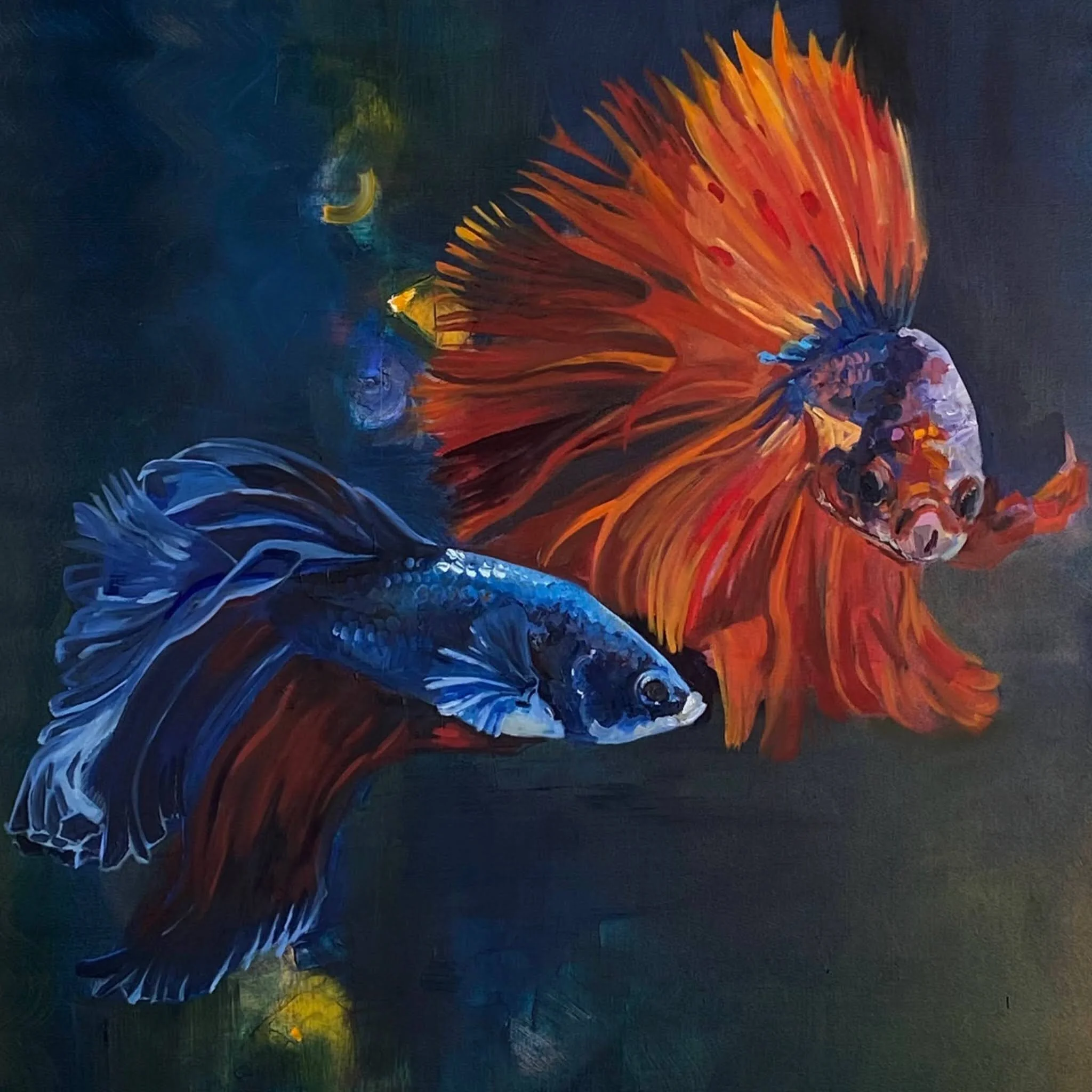 B5FFD89B-EFD9-4552-ABC6-EBF6F819B7EB