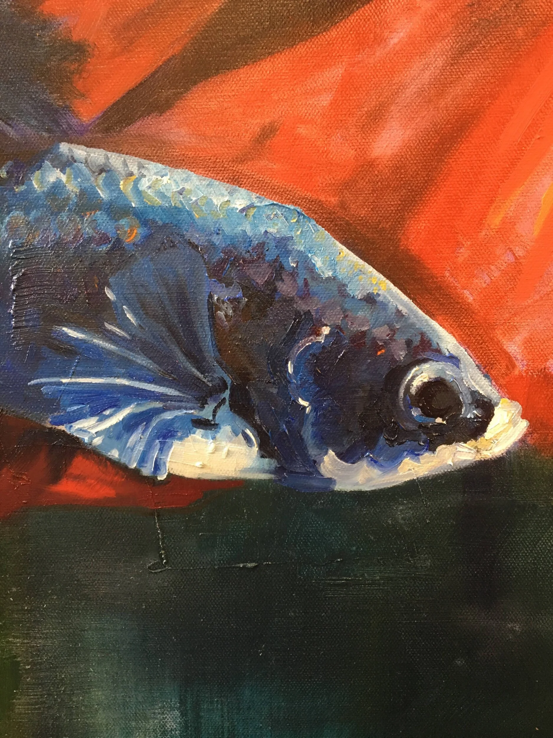 2CFB3E2F-A2D9-4387-9CB7-DC2A75399900