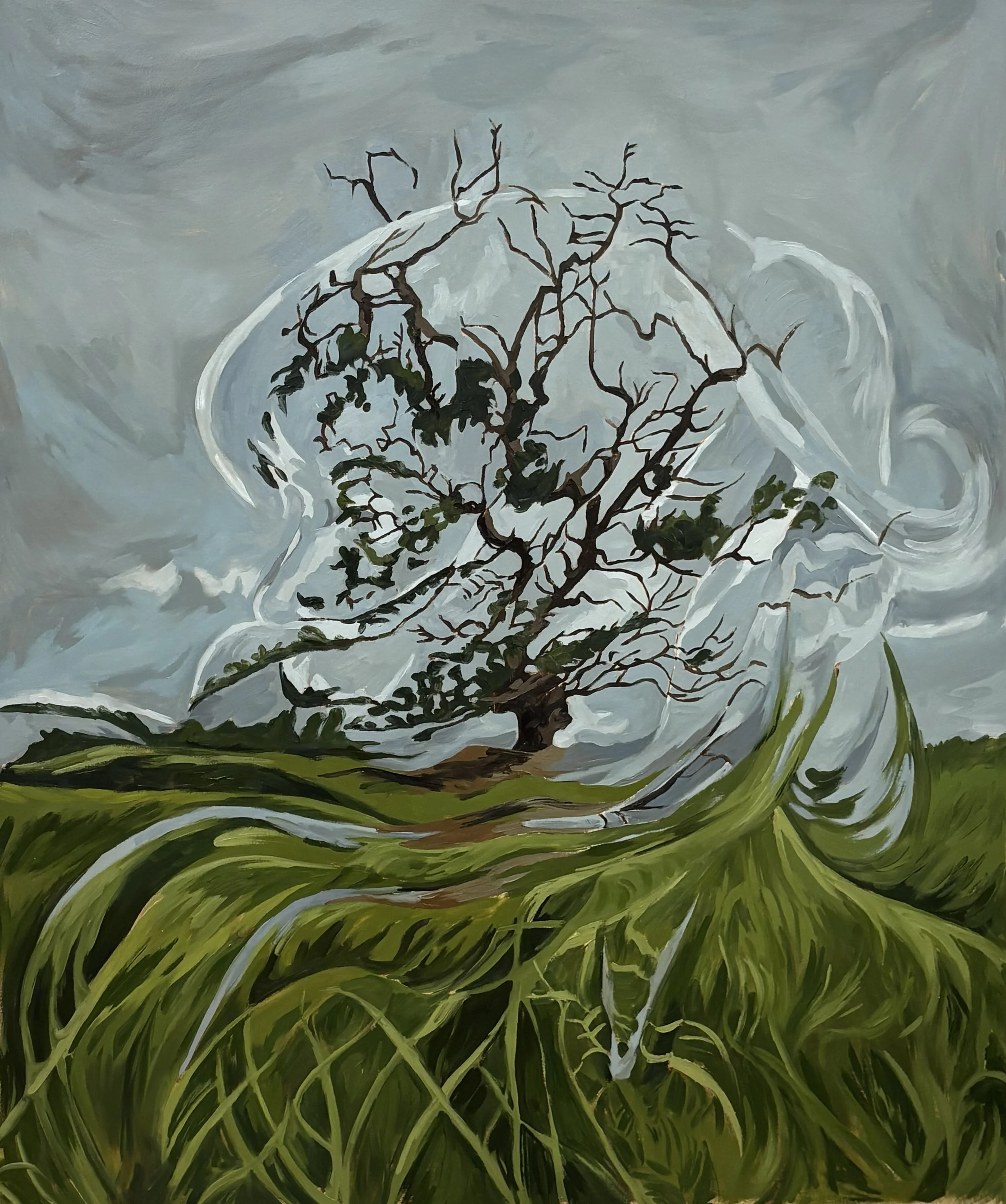 WindFinal copy.jpg