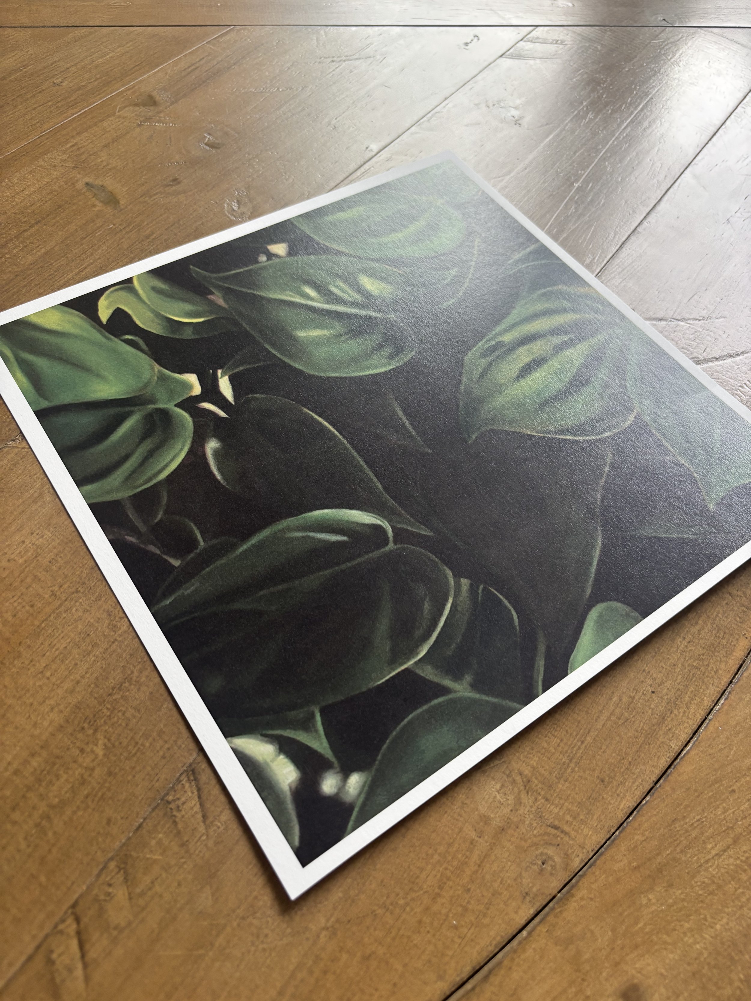 PhilodendronPrint2.jpeg