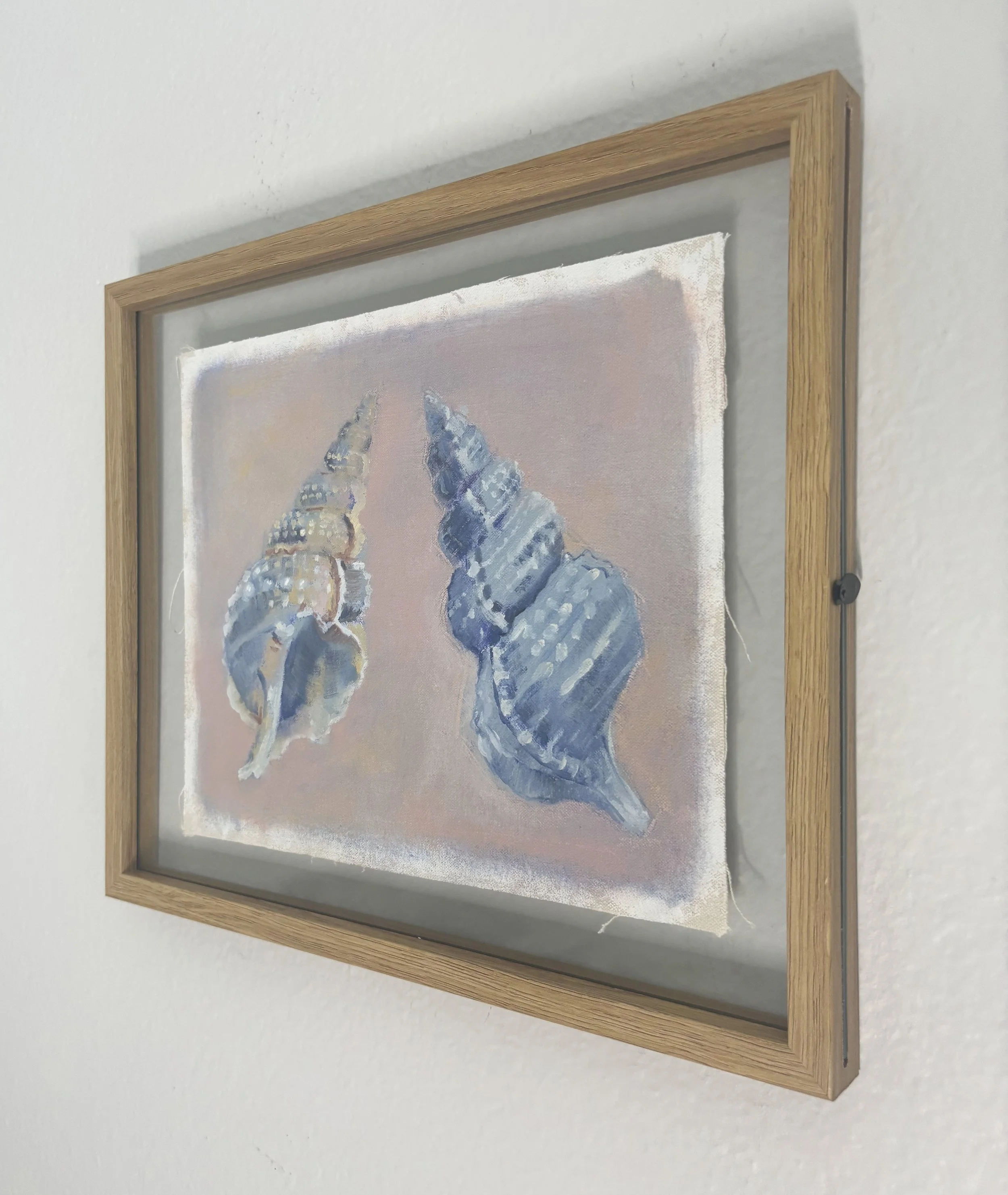 SeashellsPastelweb1.jpg