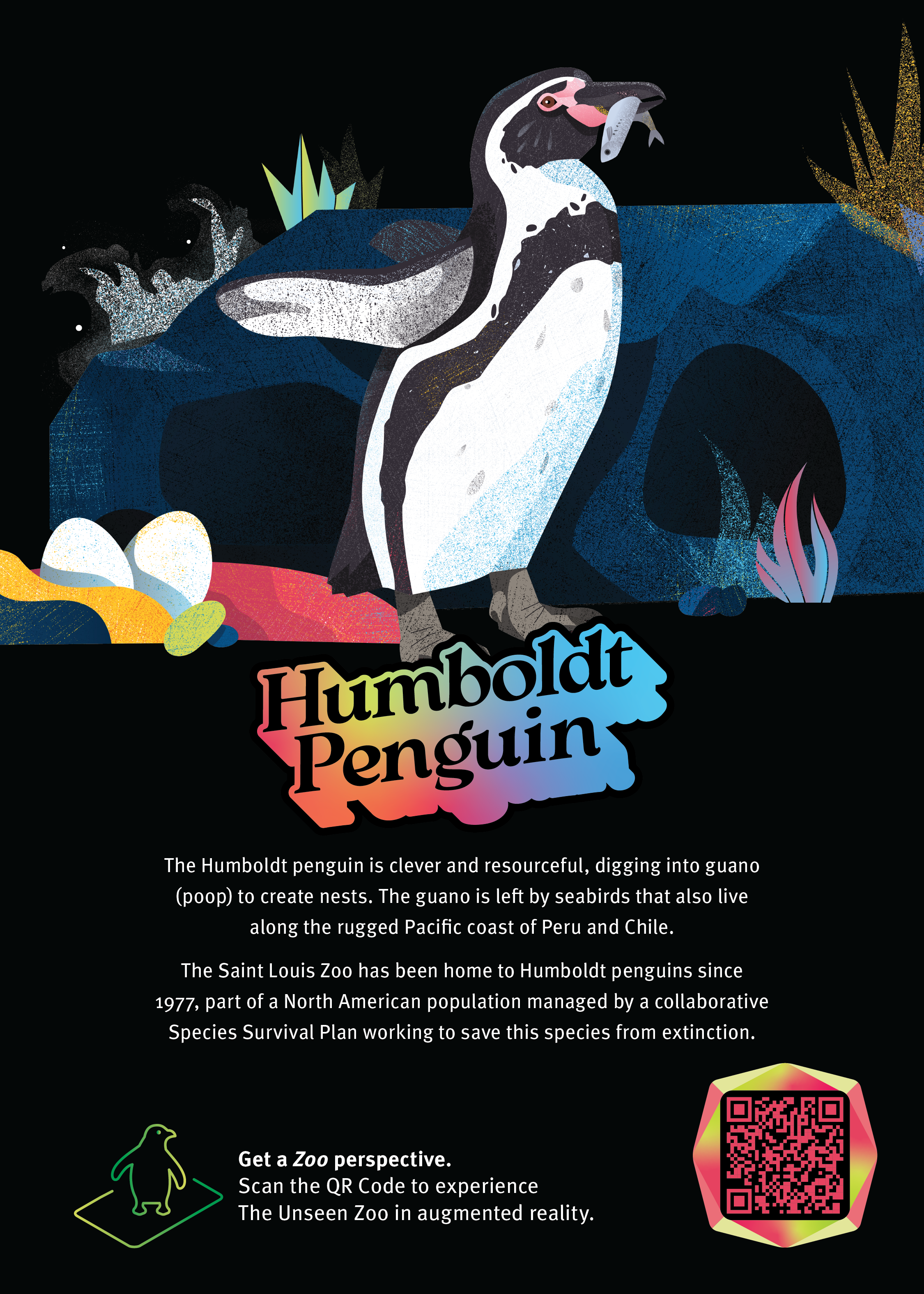 HumboldtPenguin_TheUneenZoo_Cards_7.5x10.5_back.png