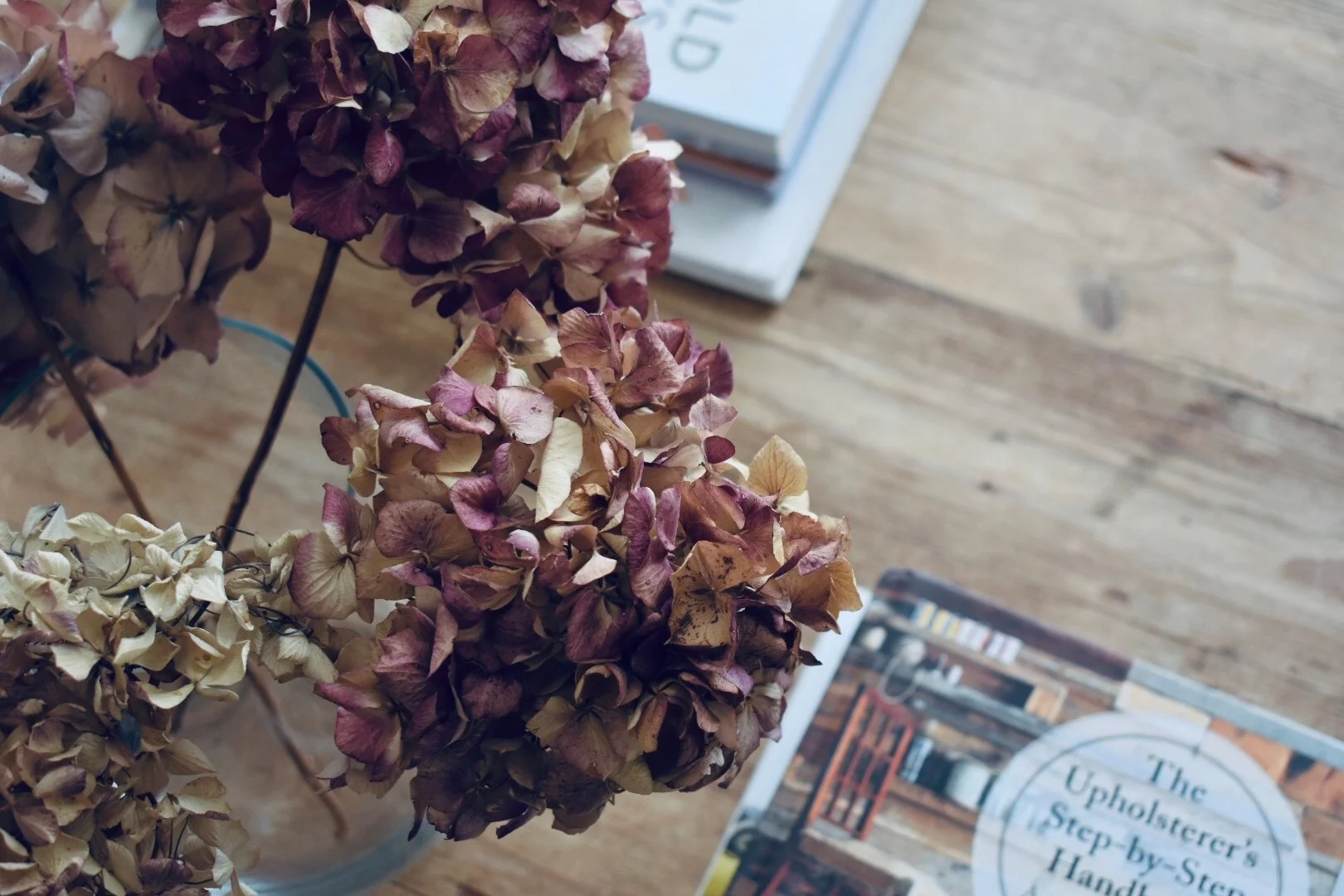 Indoor Flowers.jpg
