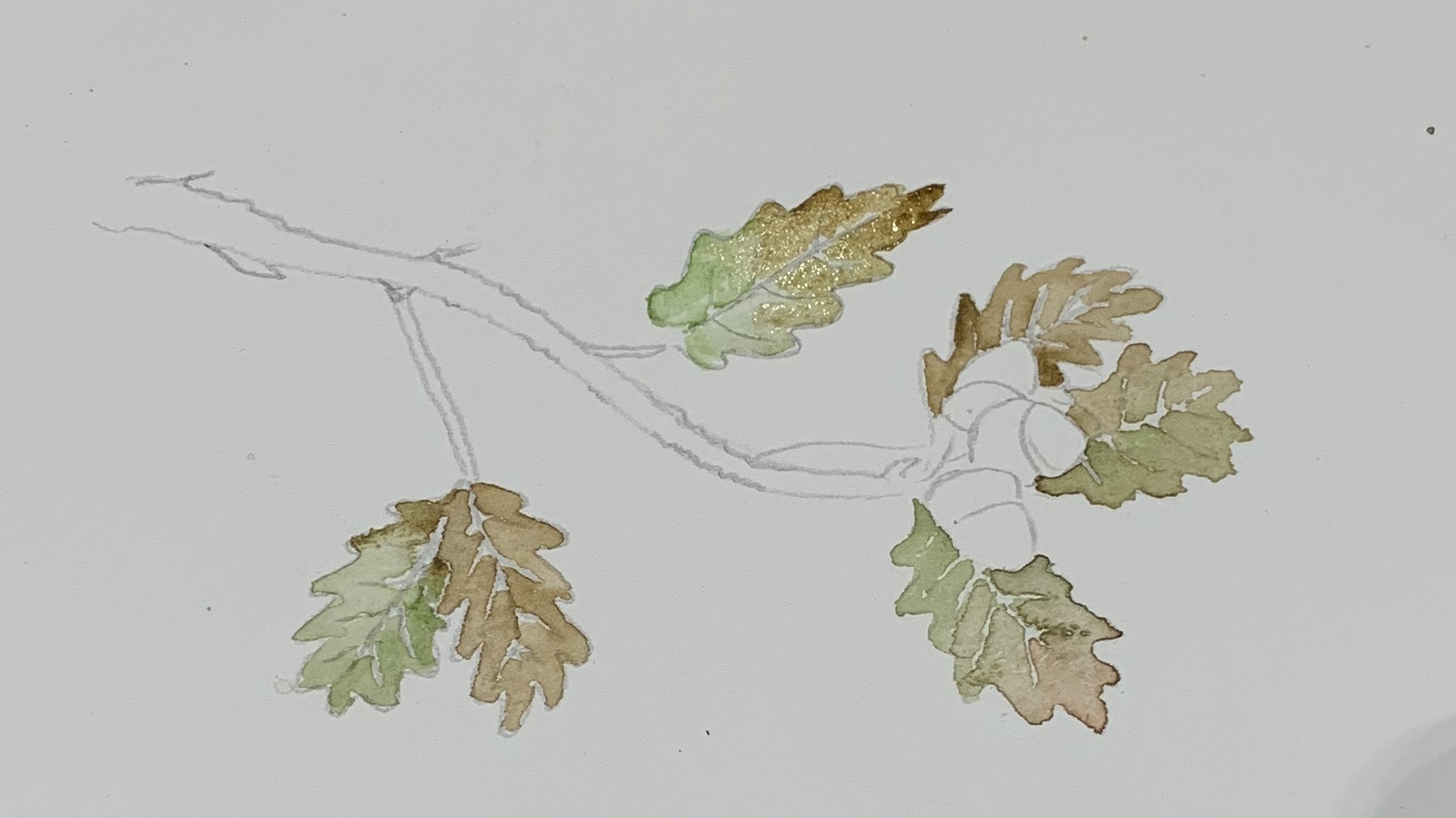 8. Repeat this step for every leaf remembering to leave the pencil lines untouched. I left out the green on two leaves to make it more autumnal.