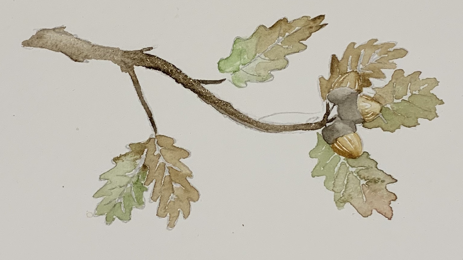12. Using a mix again of black and burnt umber but this time with more burnt umber, paint the middle of the branch and then spread the paint with a wet brush up and down the branch to create an uneven colour.