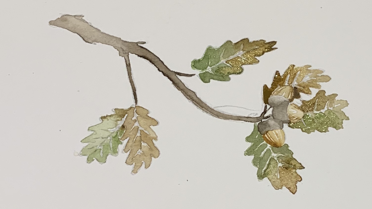 12. Once the painting is completely dry, repeat steps 6 & 7 by going over all the leaves a second time. Add a darker mix of black and burnt umber to the underside of the branch and the acorns.