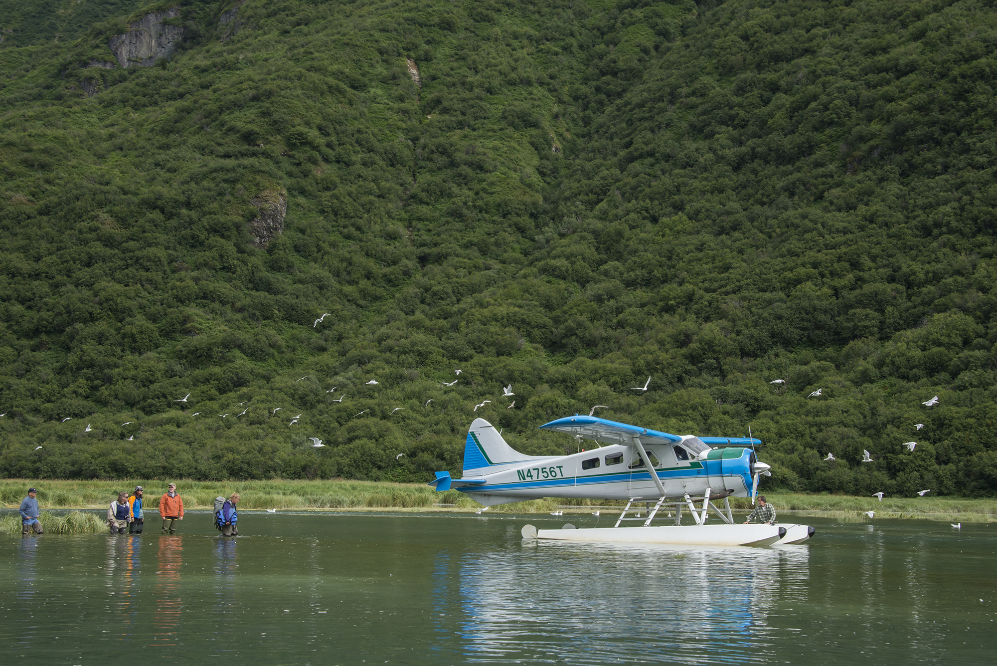 SueCedarholm_Katmai_floatplane.jpg