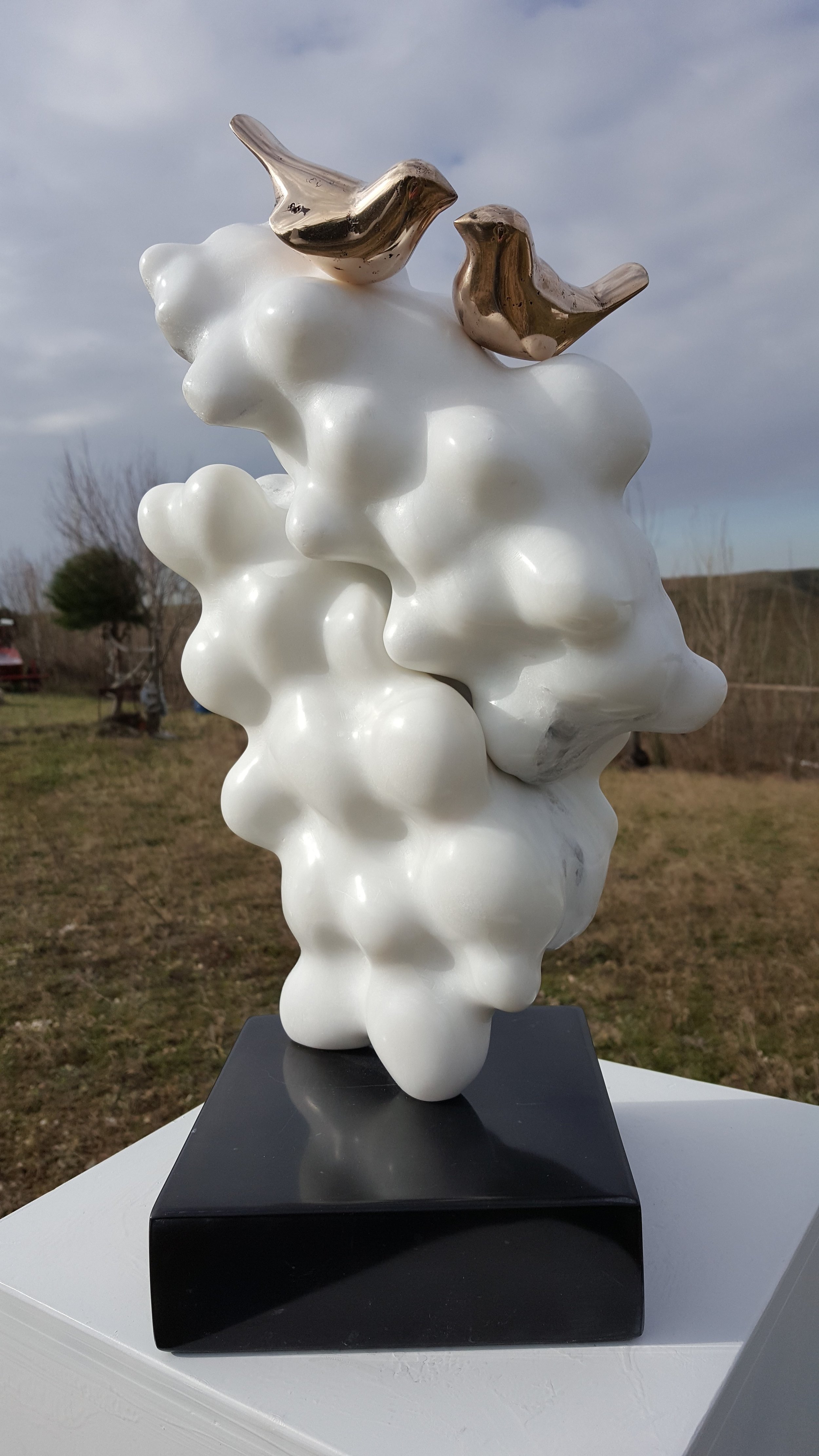 SUR LES NUAGES.jpg