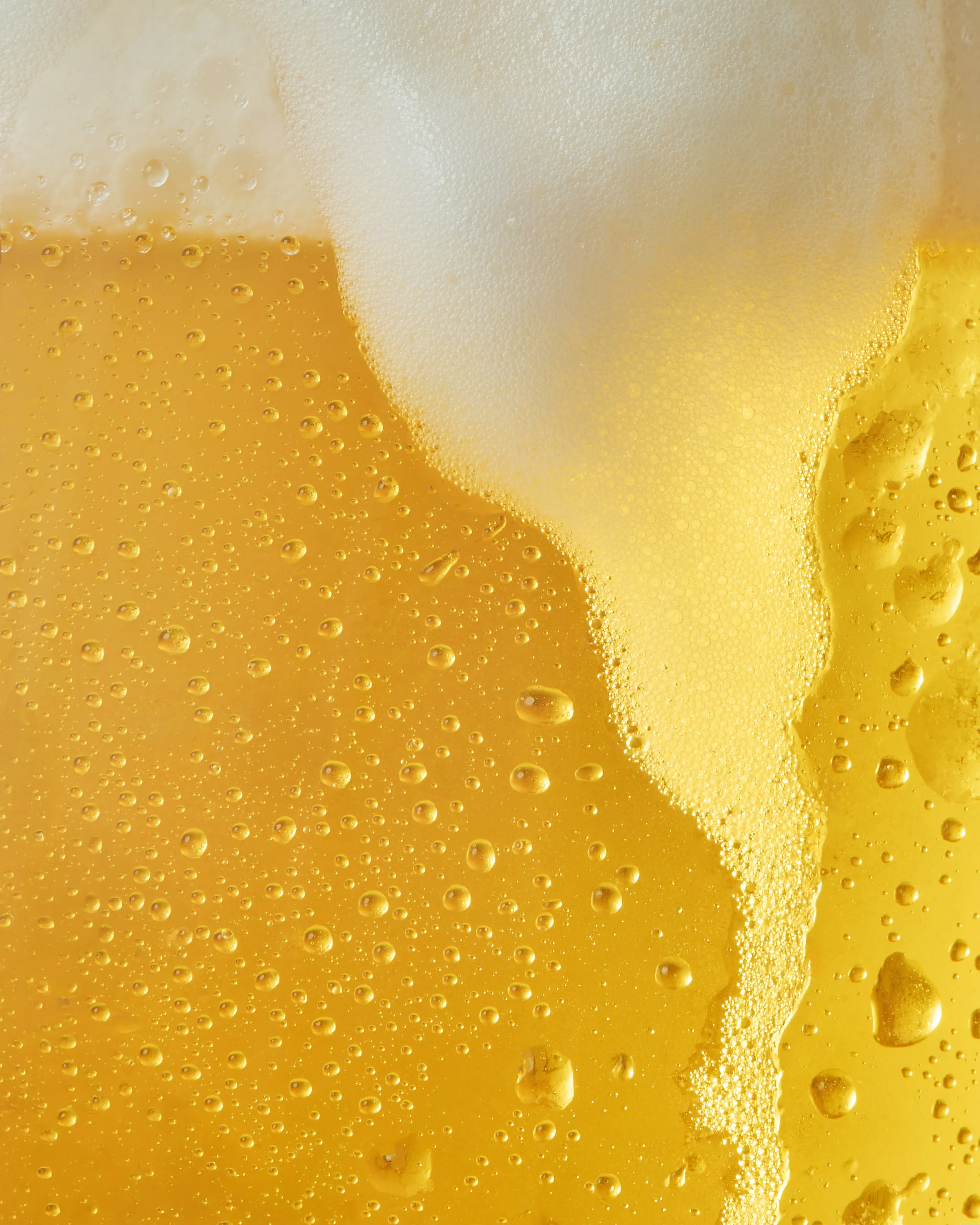 Beer_Test_26.01.26_Macro_Foam_8729 copy.jpg