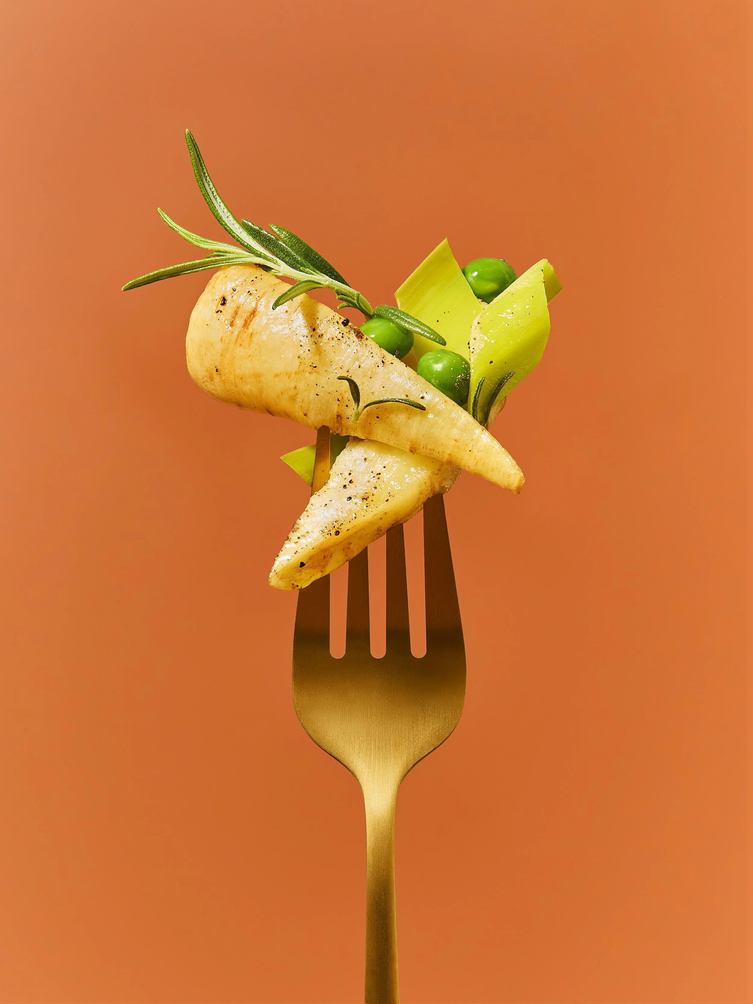 Parsnip_Fork_Option_2.jpg