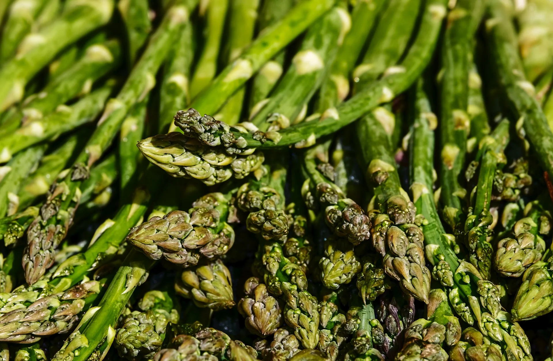 asparagus-3440348_1920.jpg