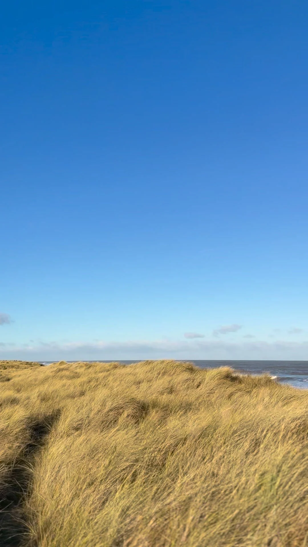 Bar Specials - casual lunches perfect for walkers &amp; seal spotters

Whether you're a nature lover or a foodie, this is the perfect time of year to combine a bracing beach walk or countryside ramble with a leisurely lunch. 

If you are looking for 
