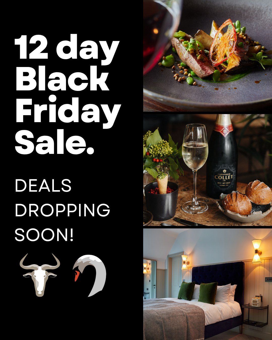 Look out for our Black Friday savings on...

➡️ Gift Vouchers
➡️ Events
➡️ Stays

Starts 6am on Friday 21st November. 
Ends 11pm on Tuesday 2nd December.

For full details of our Sale Offers, make sure you are on our Diners' Club Mailing List - 
http