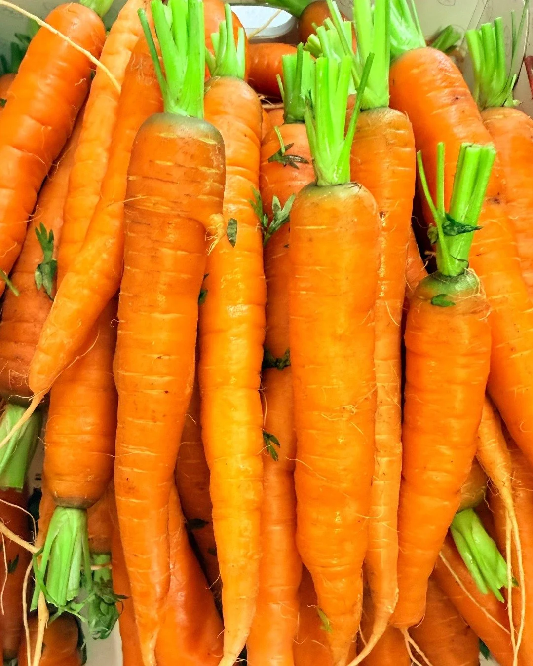 Freshly delivered. Ready for the weekend.

A fresh delivery of seasonal vegetables, straight from the Norfolk countryside and into our kitchen.

We're proud to work with local growers, including the Tacon family at@thetacons, who have been farming in