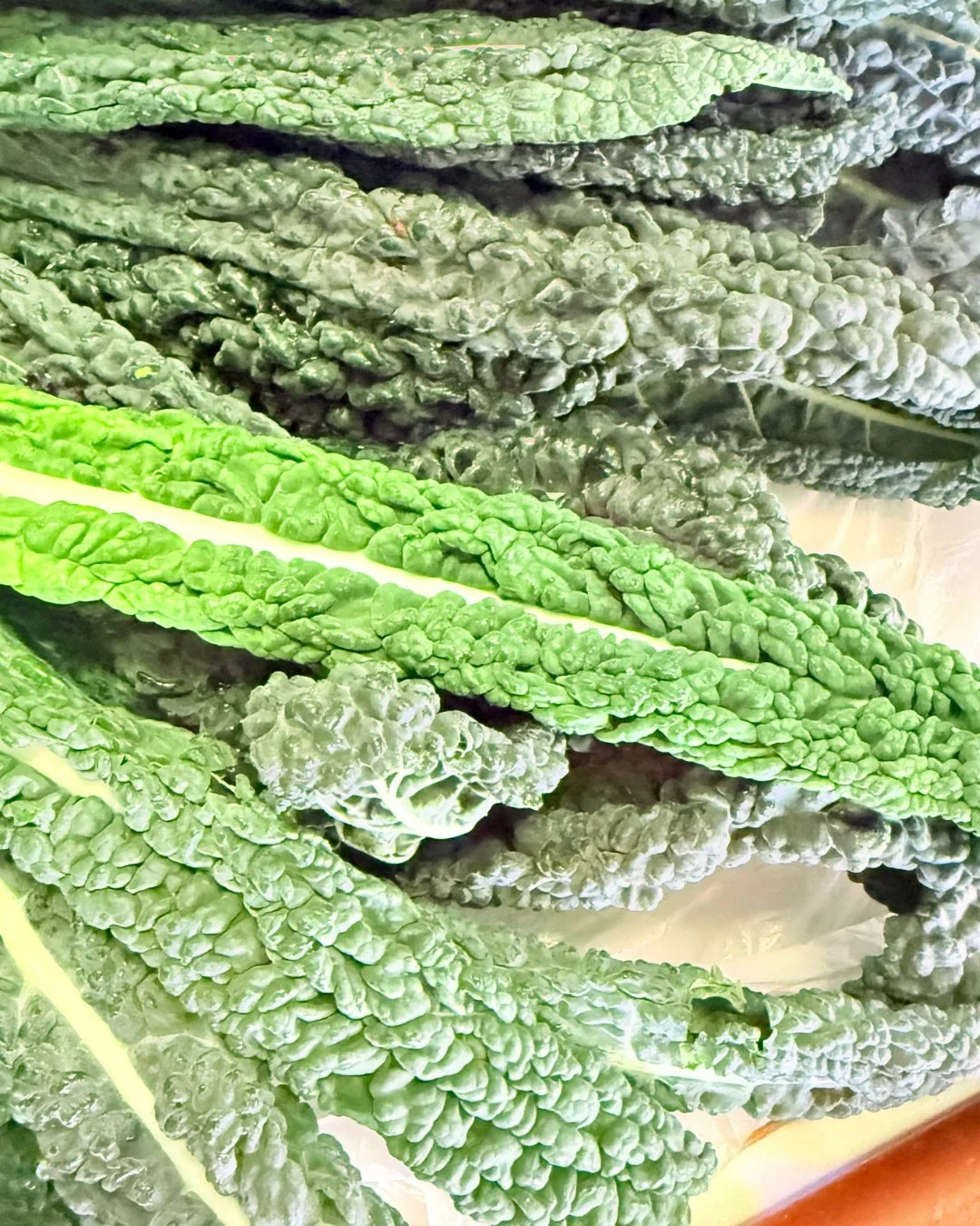 Freshly delivered. Ready for the weekend.

A fresh delivery of seasonal vegetables, straight from the Norfolk countryside and into our kitchen.

We're proud to work with local growers, including the Tacon family at @thetacons,  who have been farming 