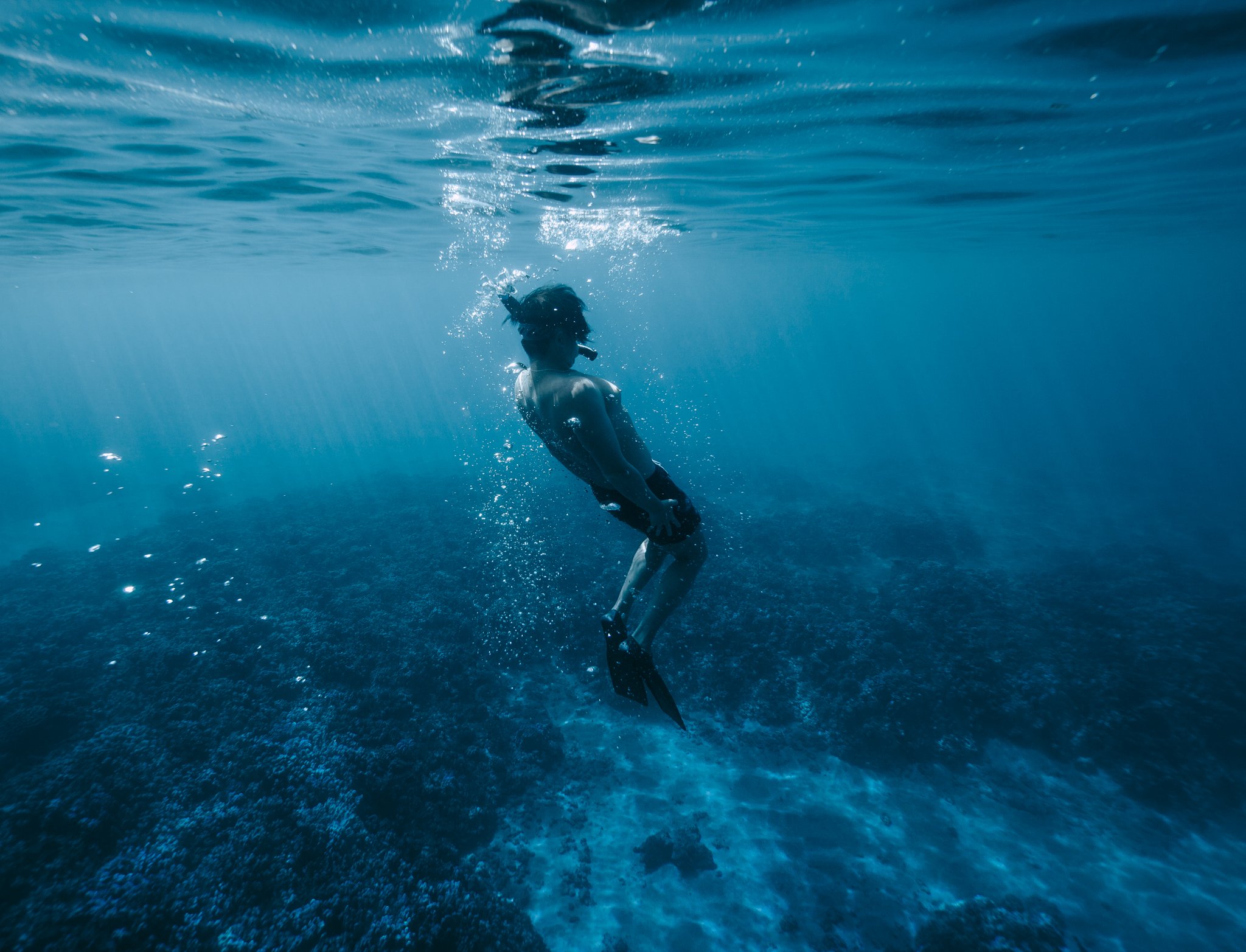 IMG_5660.jpg