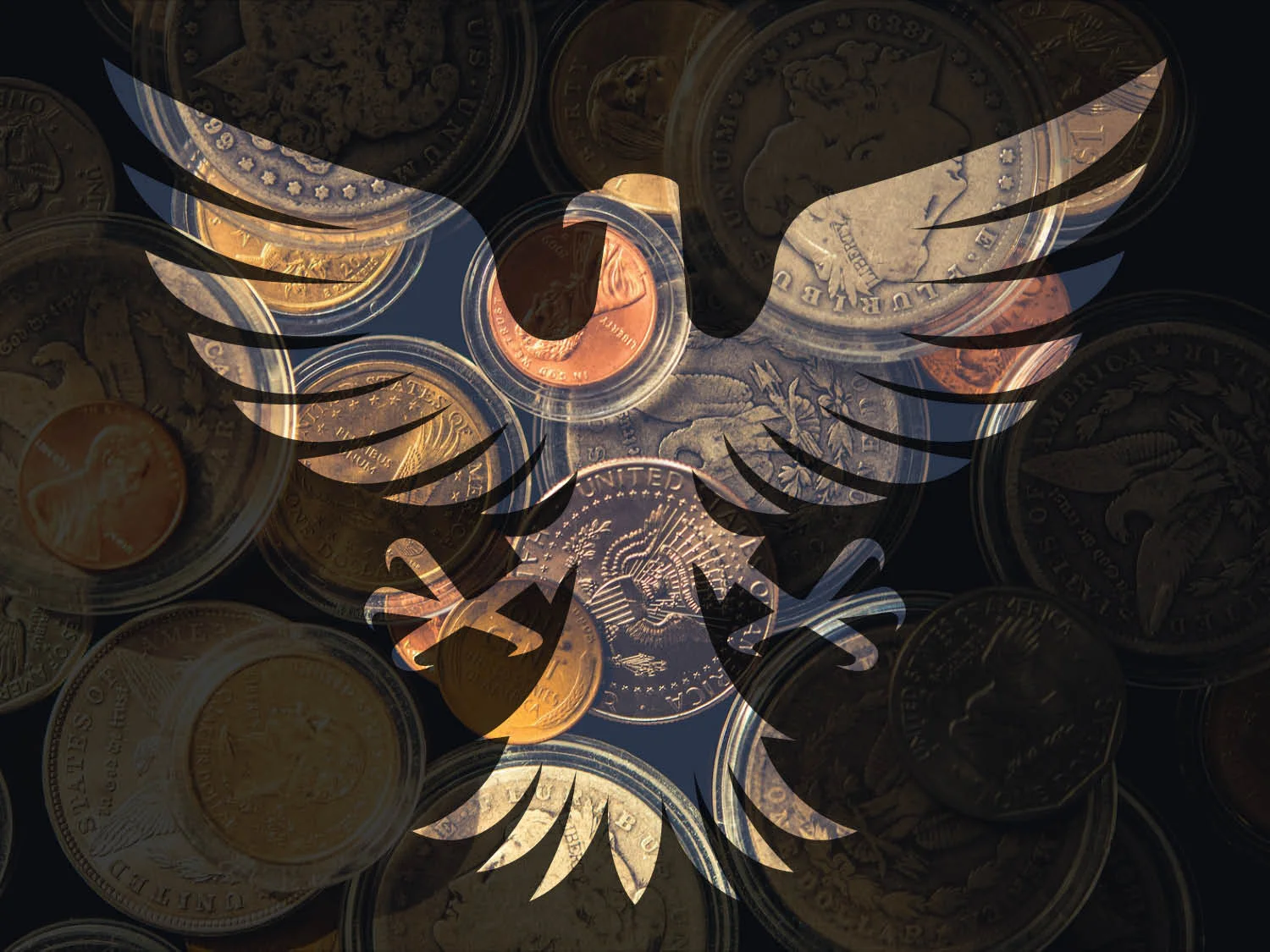 DMCC Web Graphic.jpg