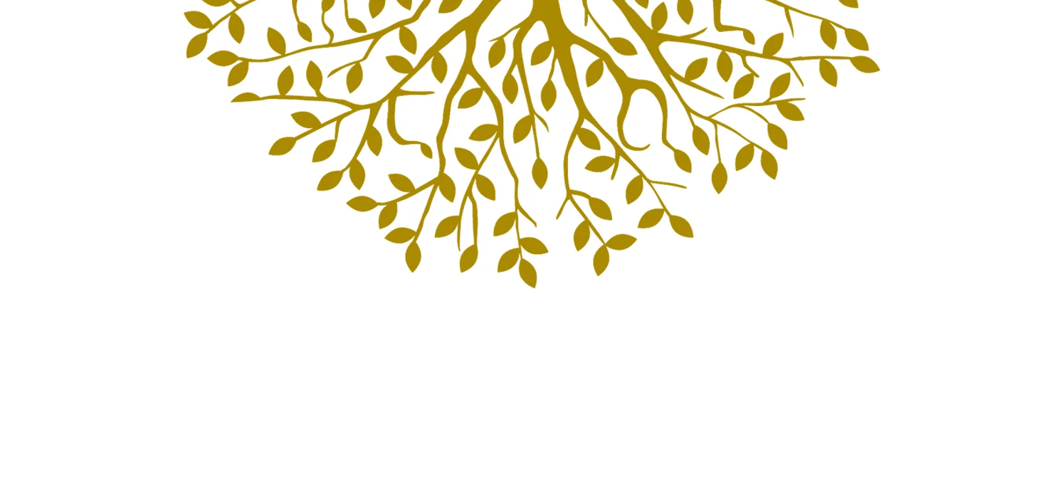 graphicslide5.jpg