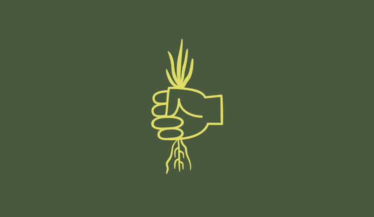 greenroots.jpeg