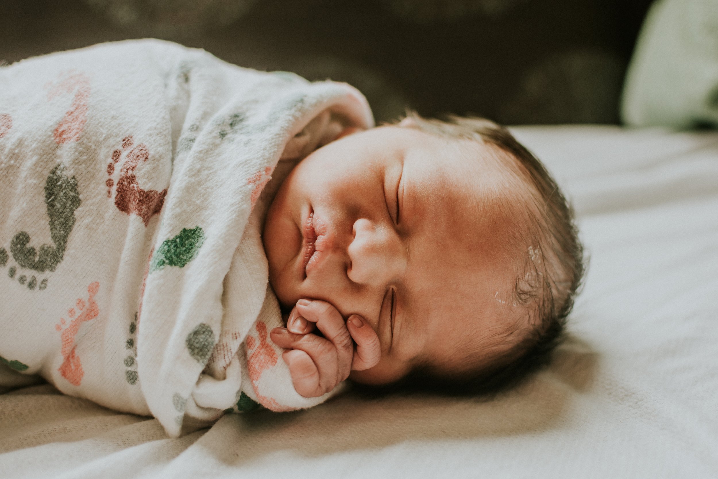 Colorado Newborn Photographer
