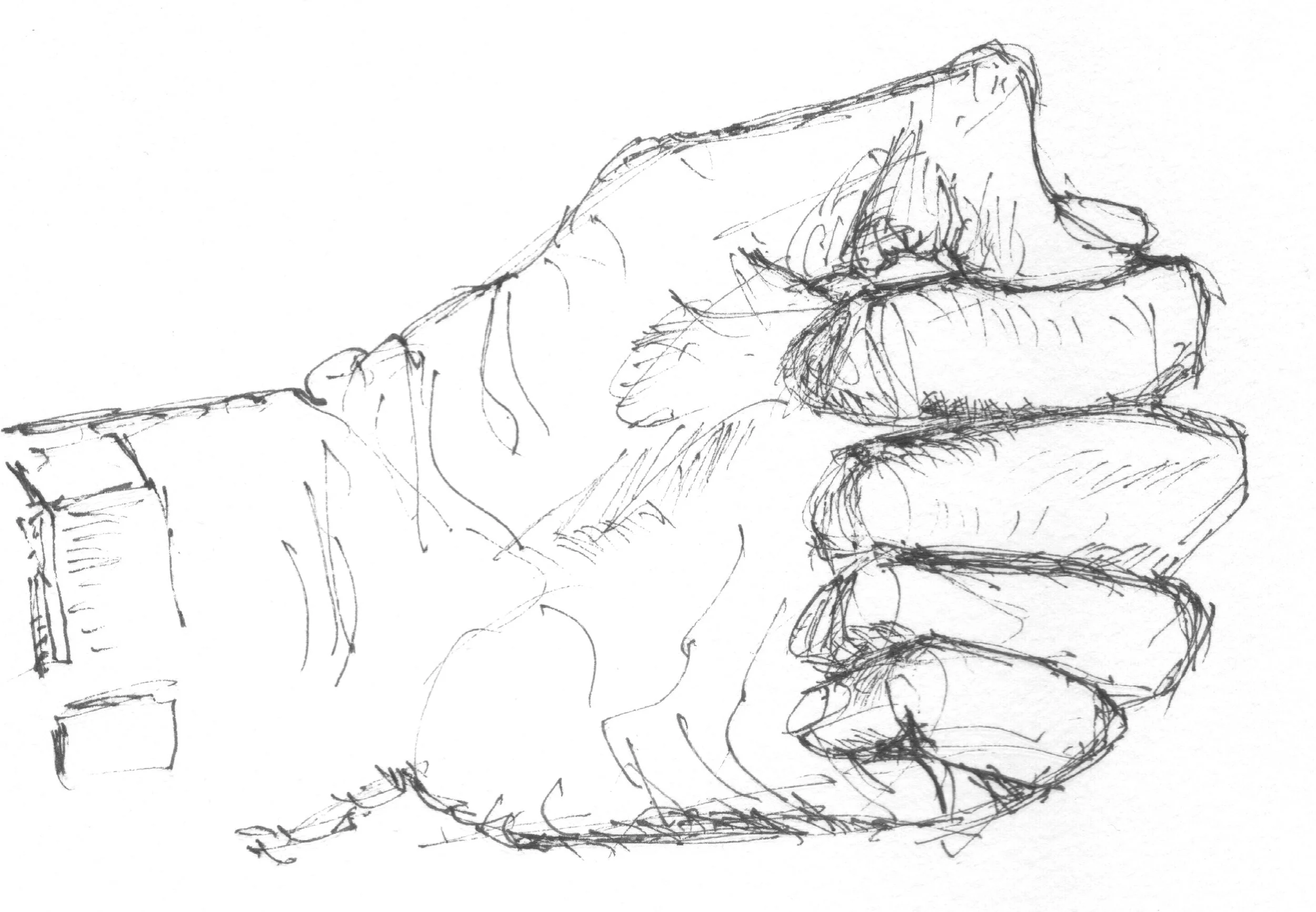Hand.jpeg