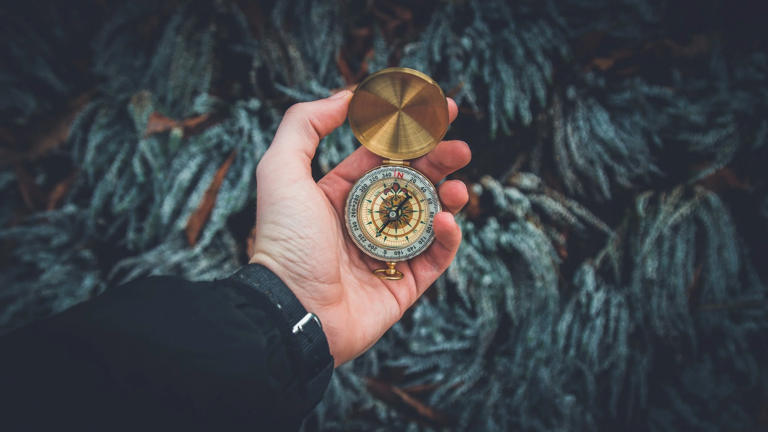close-up-compass-direction-841286.jpg