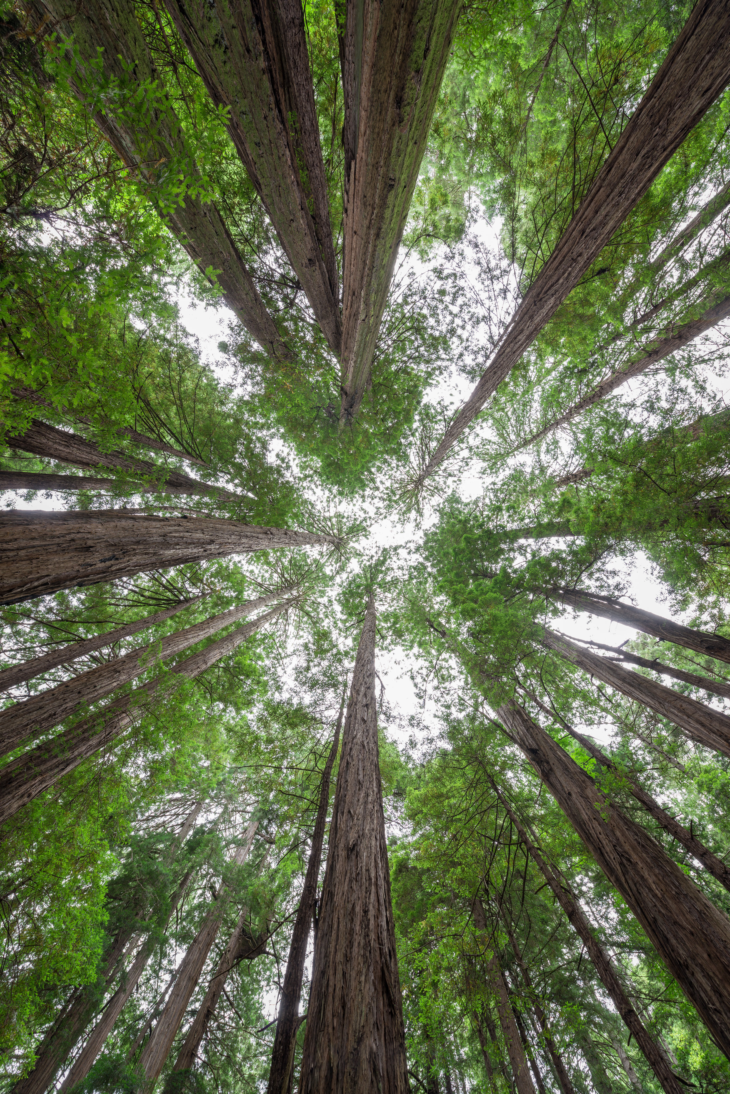 AdobeStock_181492112.jpeg