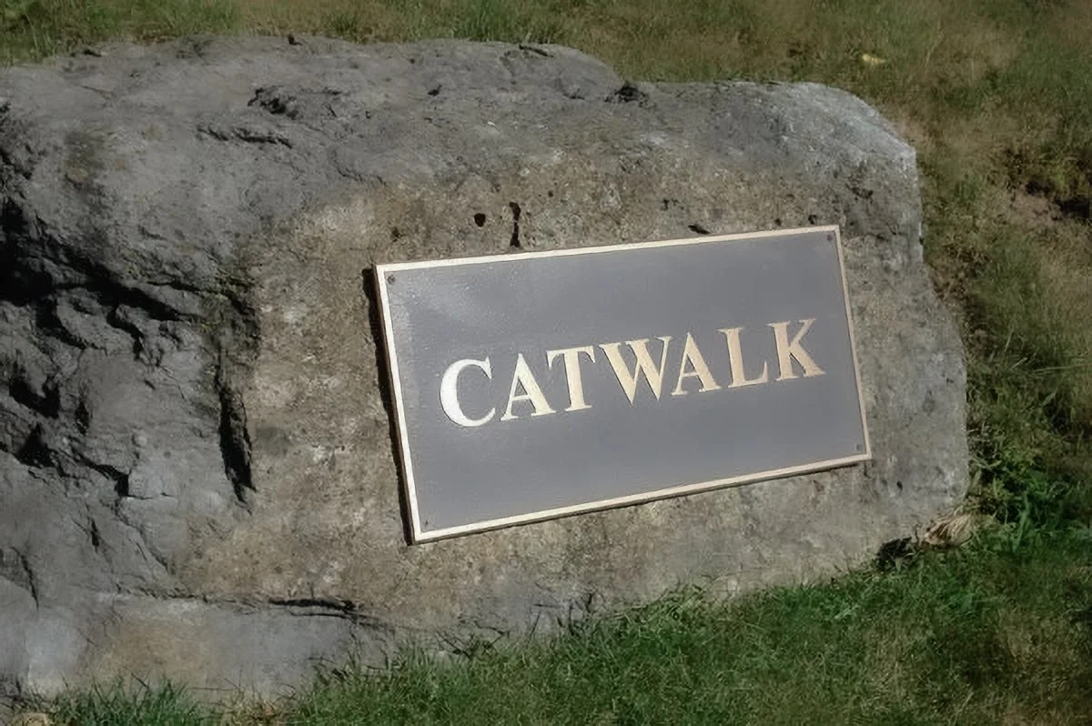 NobleCatW+copy.jpg