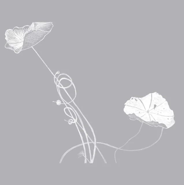 3.nasturtium-alison-paton-003-colour.JPG