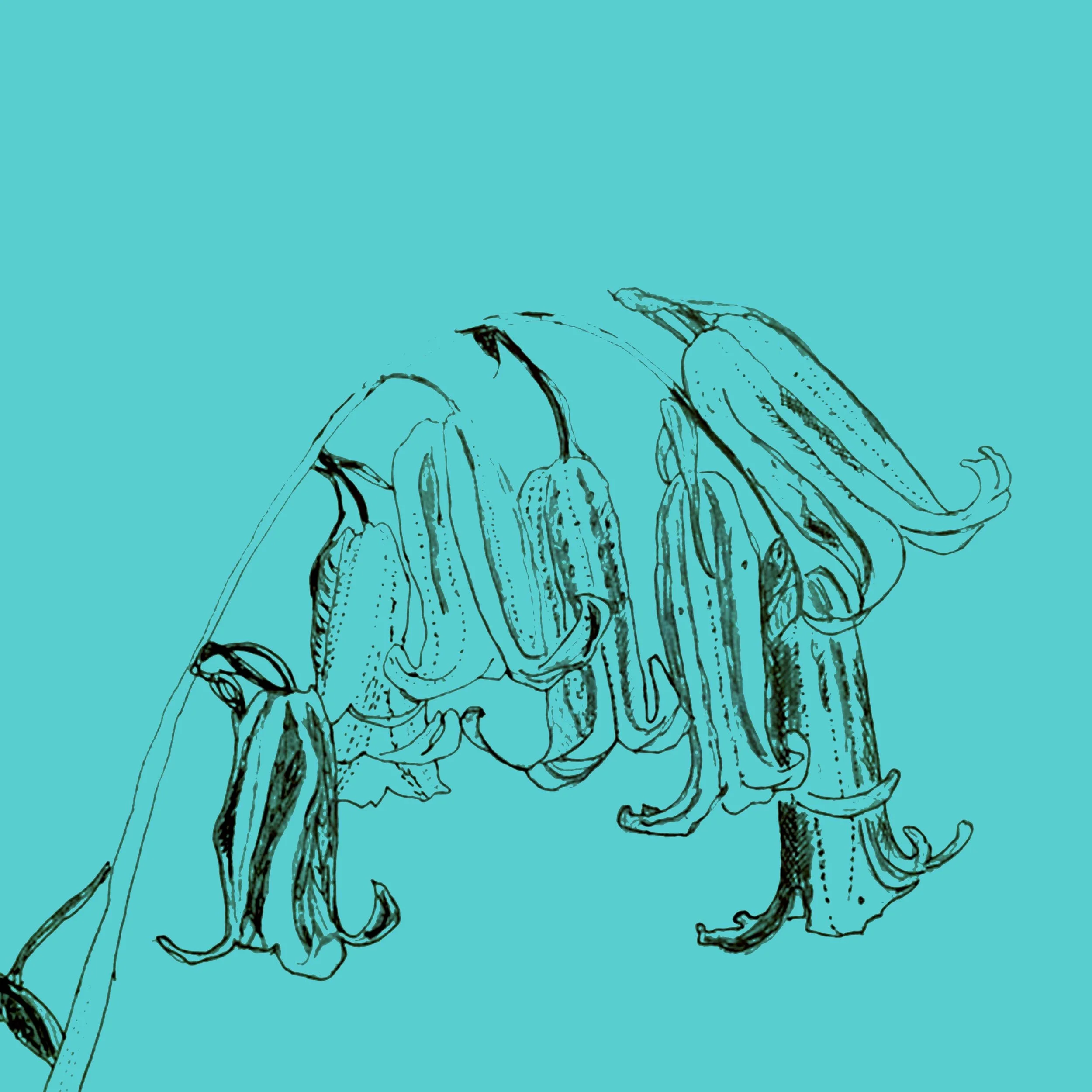 5. Bluebell-Cushion.jpg