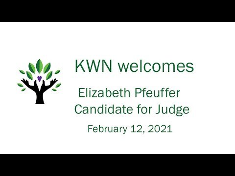 Liz Pfeuffer- Candidate for Judge