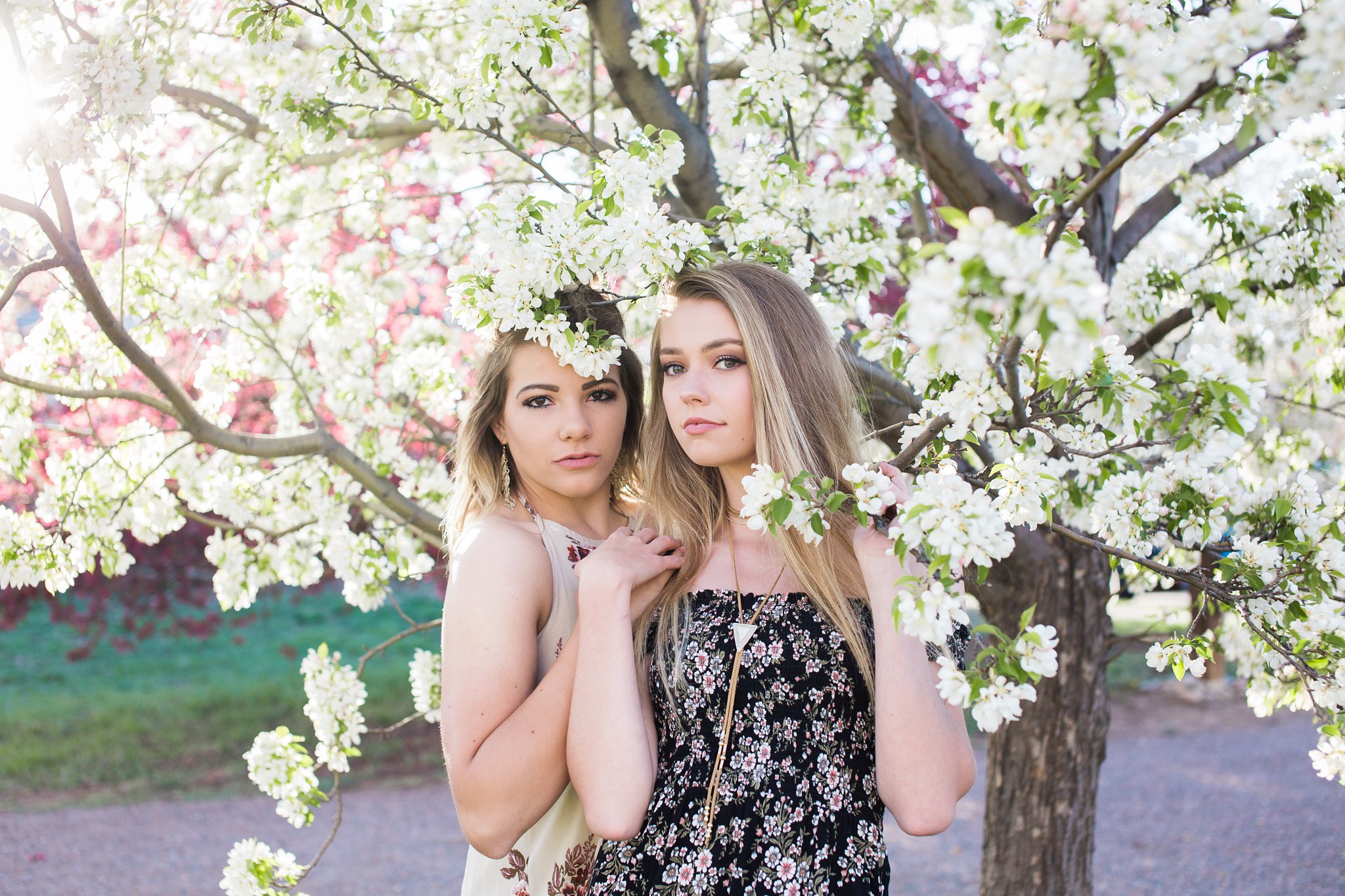 Boulder Colorado Senior Portraits