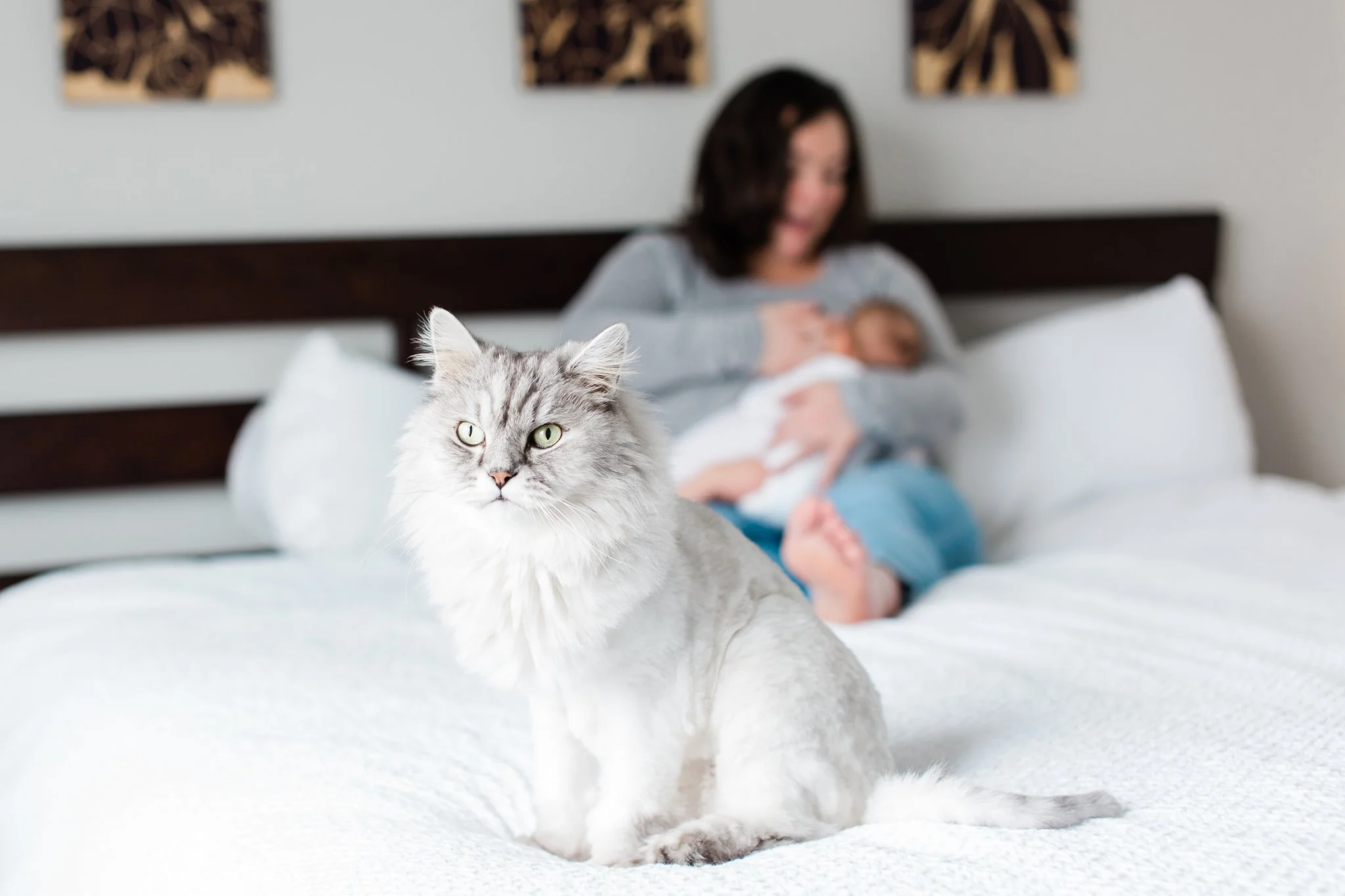 Boulder-Lifestyle-Newborn-Photographer-27_WEB.jpg