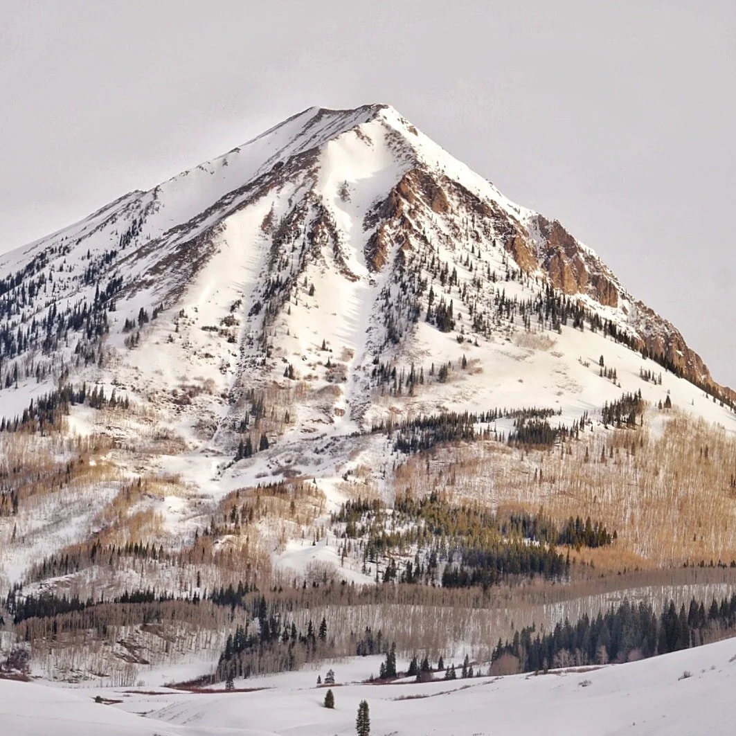 Crested Butte Elopements + Micro Weddings (Updated for 2023)