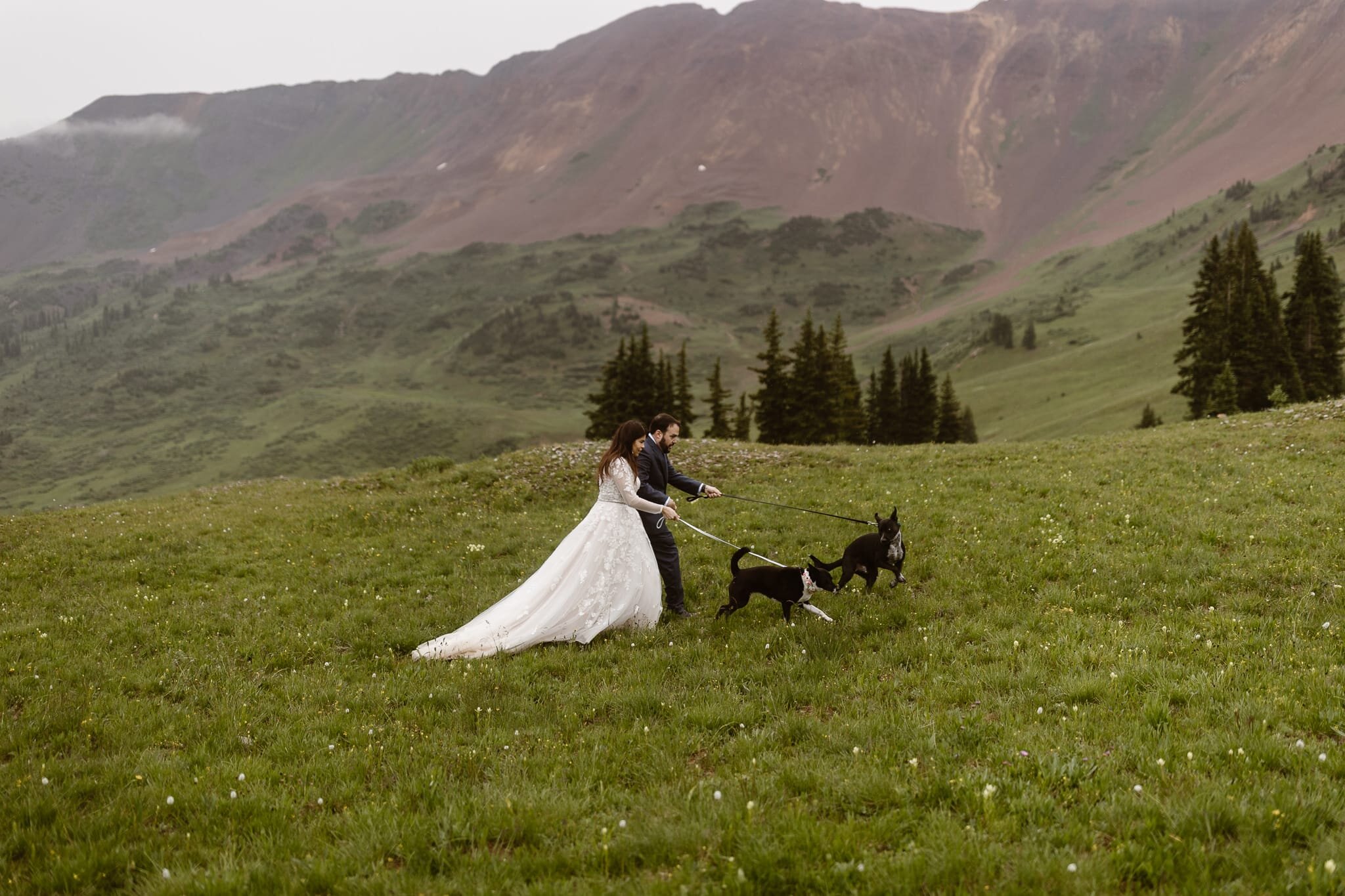 Eloping at Rocky Mountain National Park | Updated for 2023