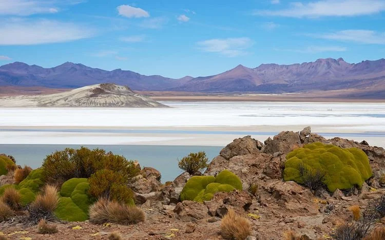 How to Elope in the Chilean Desert: Places to Elope for a Chile Adventure | Updated for 2026